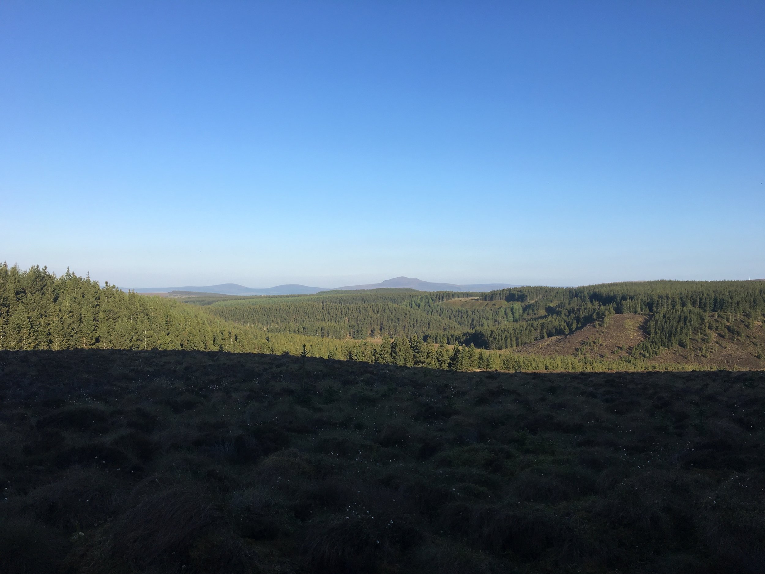 Heart of the Clashgour Eastern Block, where 20 of its 48 Turbines will be sited