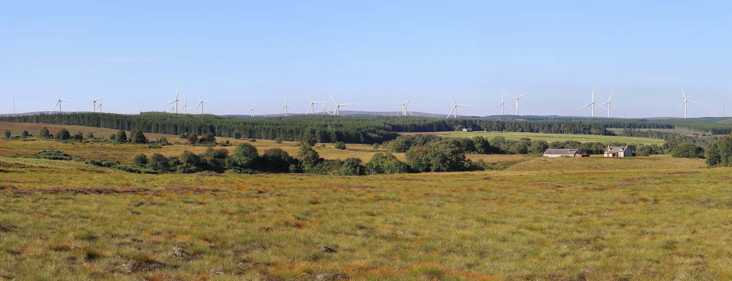 Developers image of the proposed Clashgour, showing just some of the 48 turbines planned