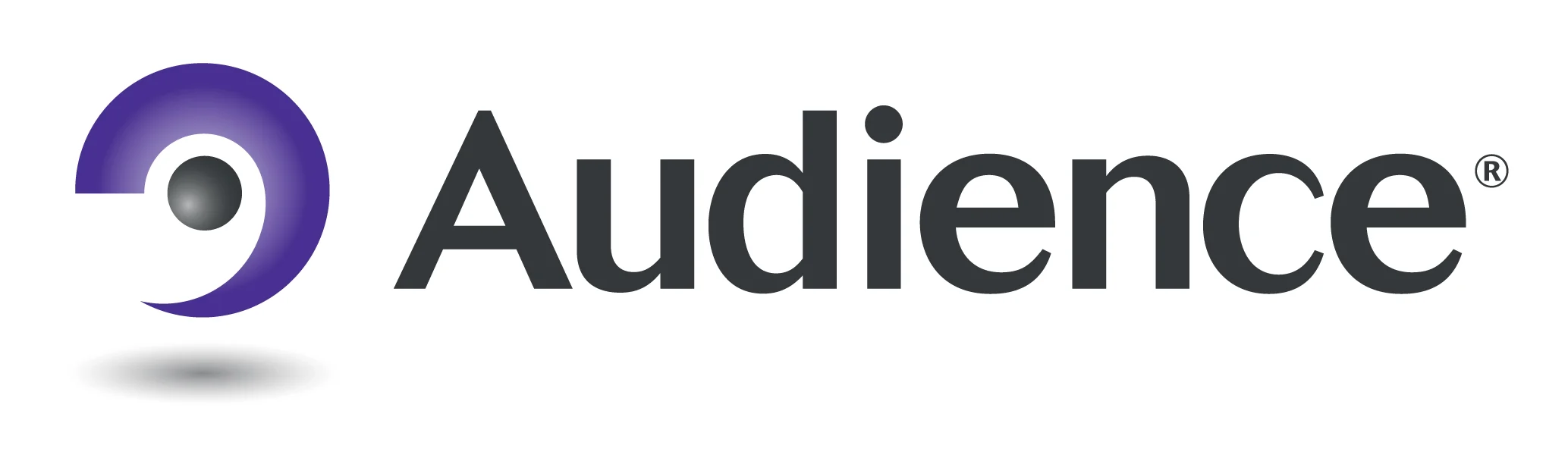 Audience-Logo.jpg