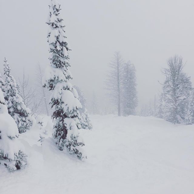 Winter Wonderland! 🌧❄️ and more snow in the forecast! 
Betsy Bingle Real Estate
.
.
.
.
.
.
#JacksonHoleRealEstate #JacksonHole #buyinjacksonhole #sellinjacksonhole #betsybingle #betsybinglerealestate #topproducer #realestateagent #sold #mountainmod