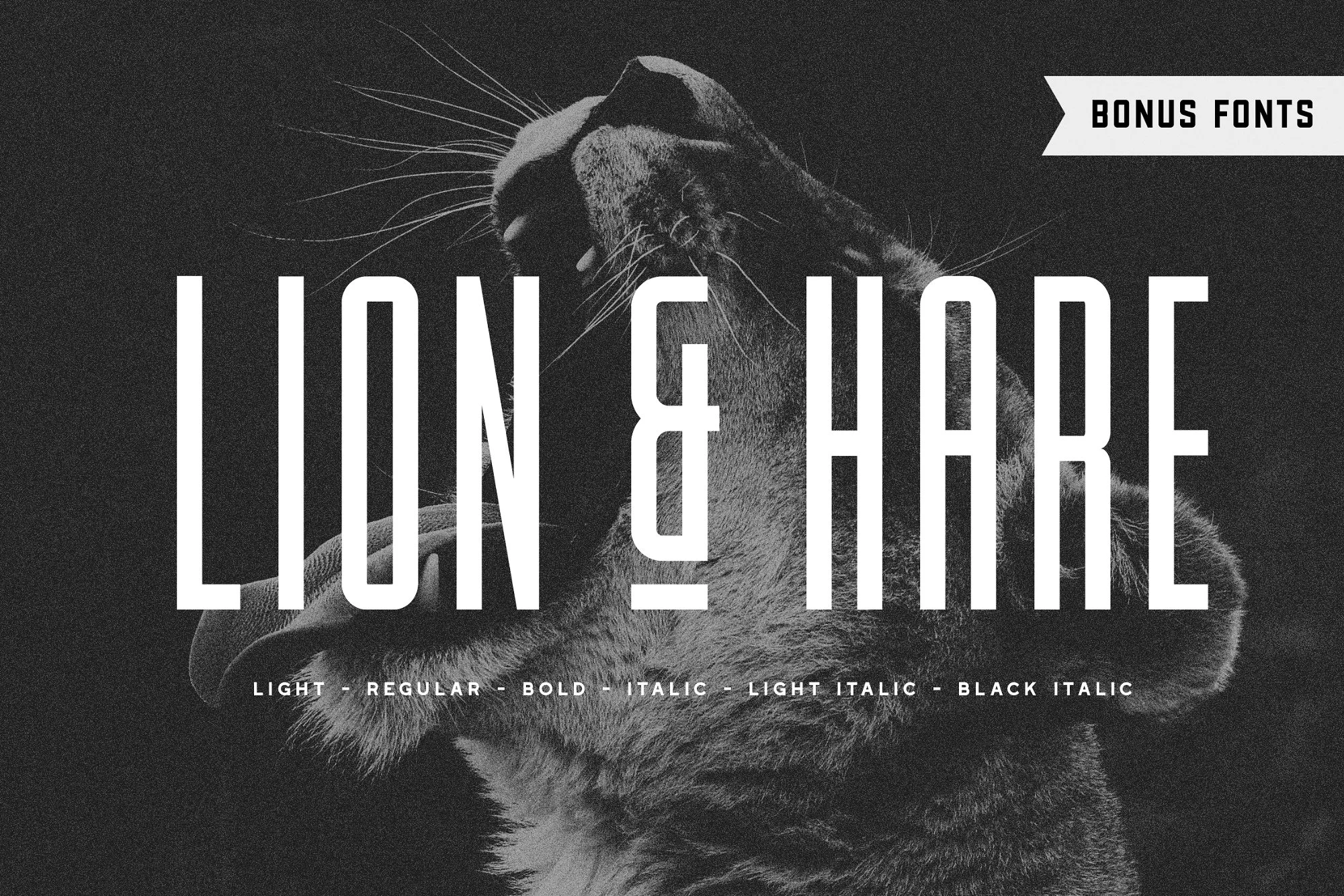 Lion &amp; Hare Font