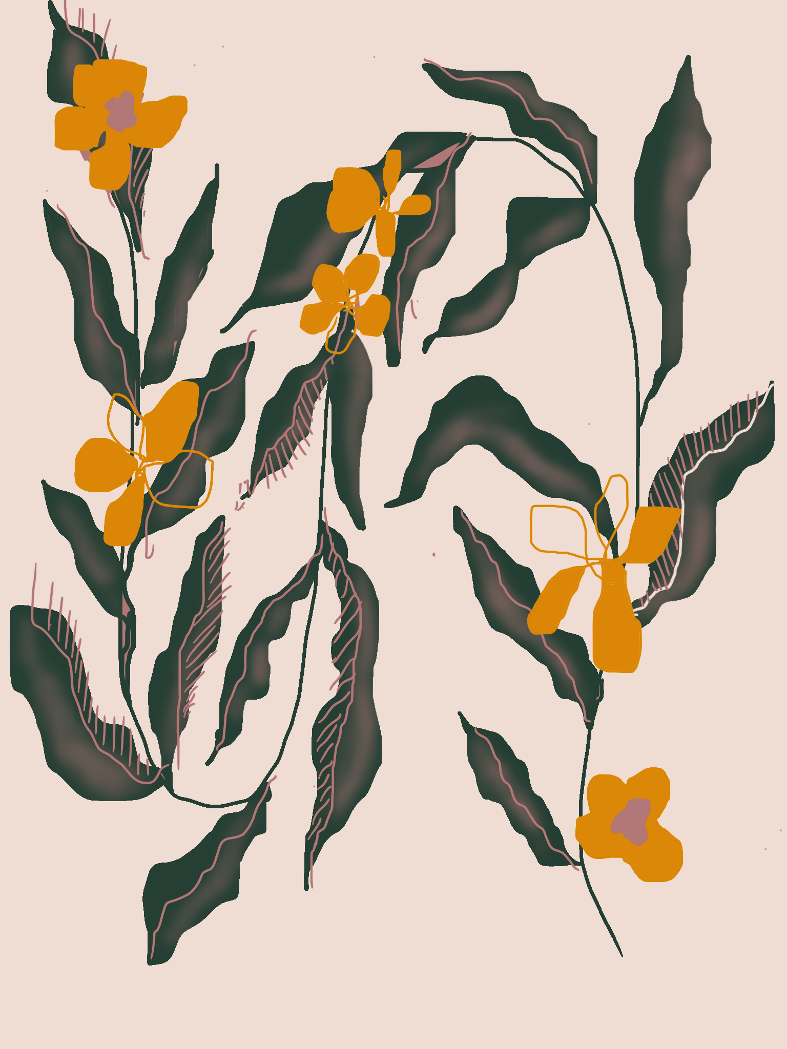 IMG_1978.PNG