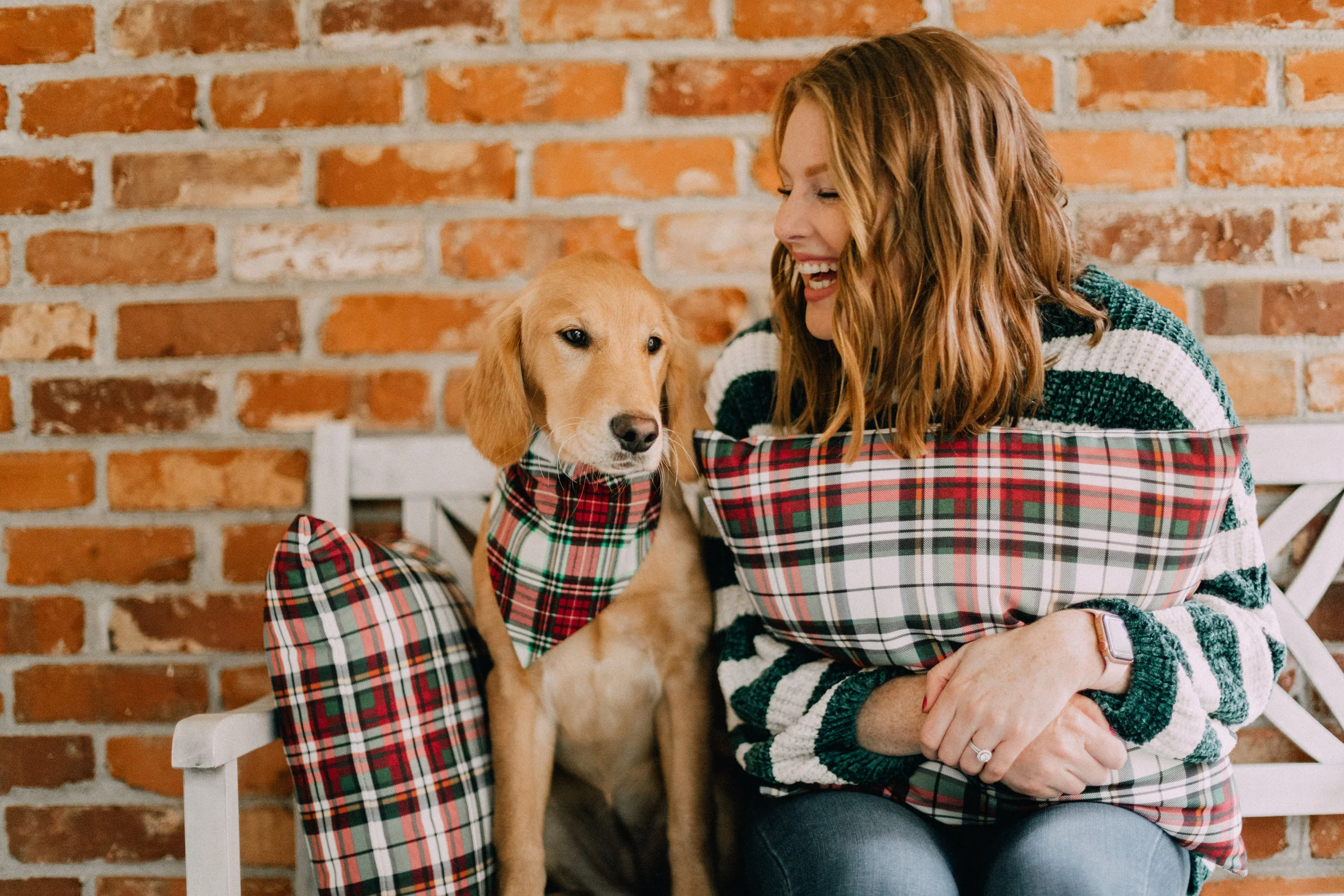 dog tartan bandana