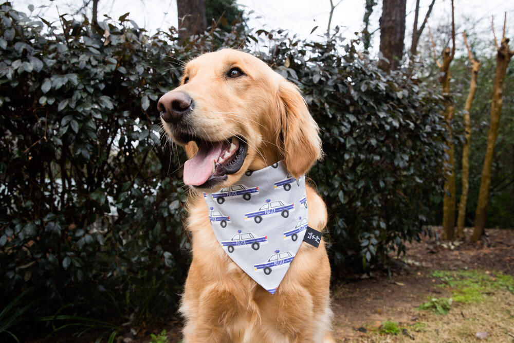 Personalized Dog Bandanna Fiesta Dog Bandana Clip on Pet Scarf New Puppy Gift Dog Bandana with Stripes