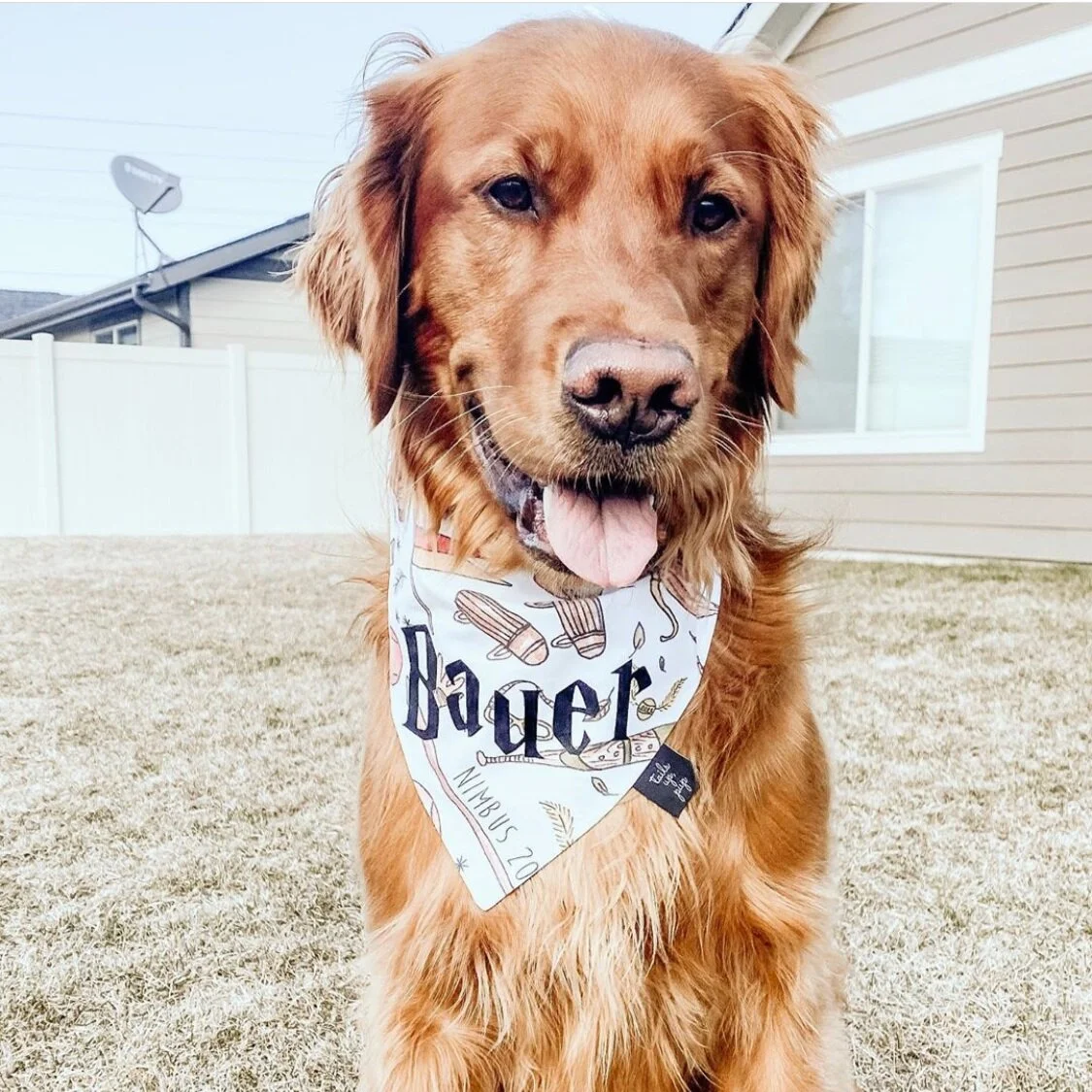 harry potter bandanas