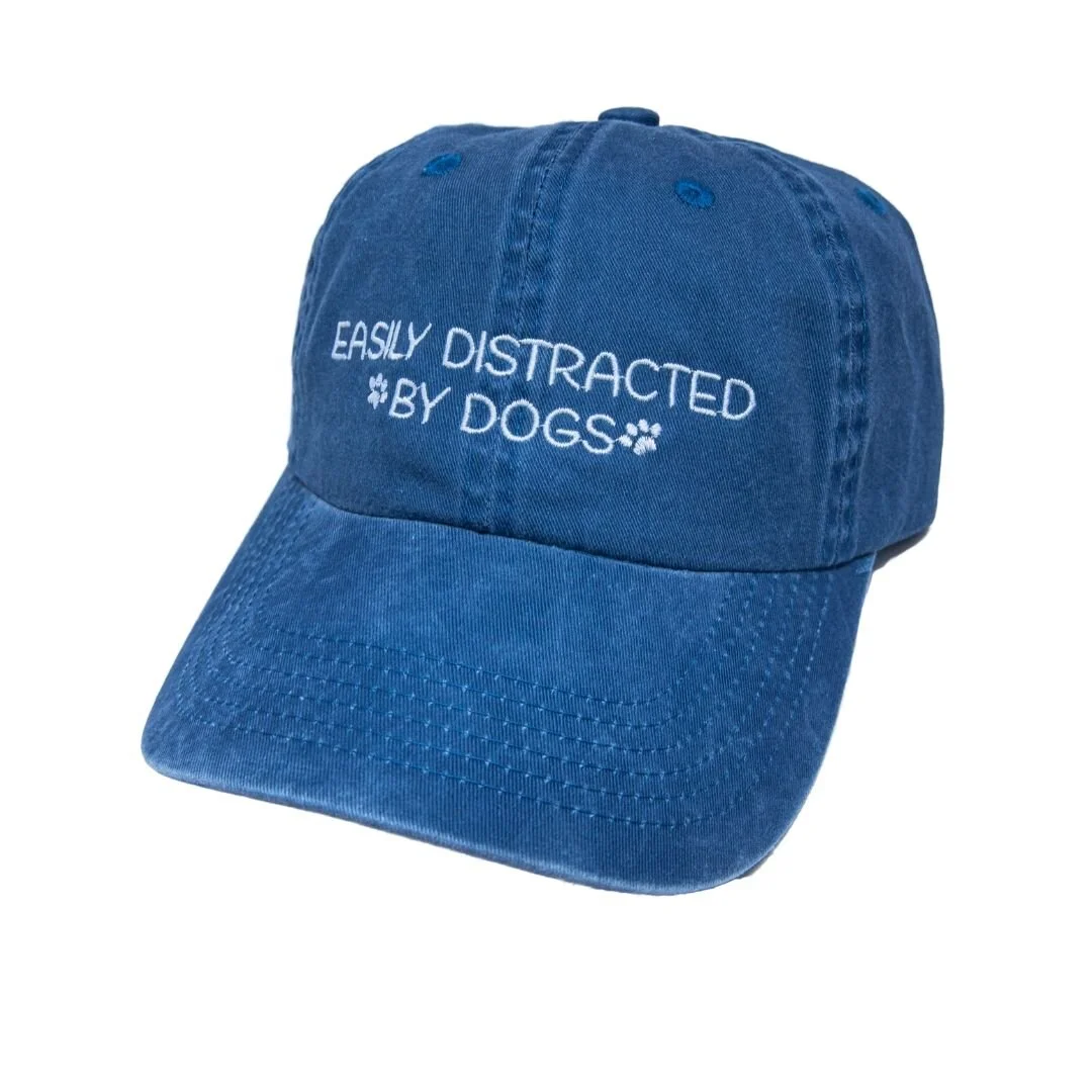 easily distracted by dogs hat