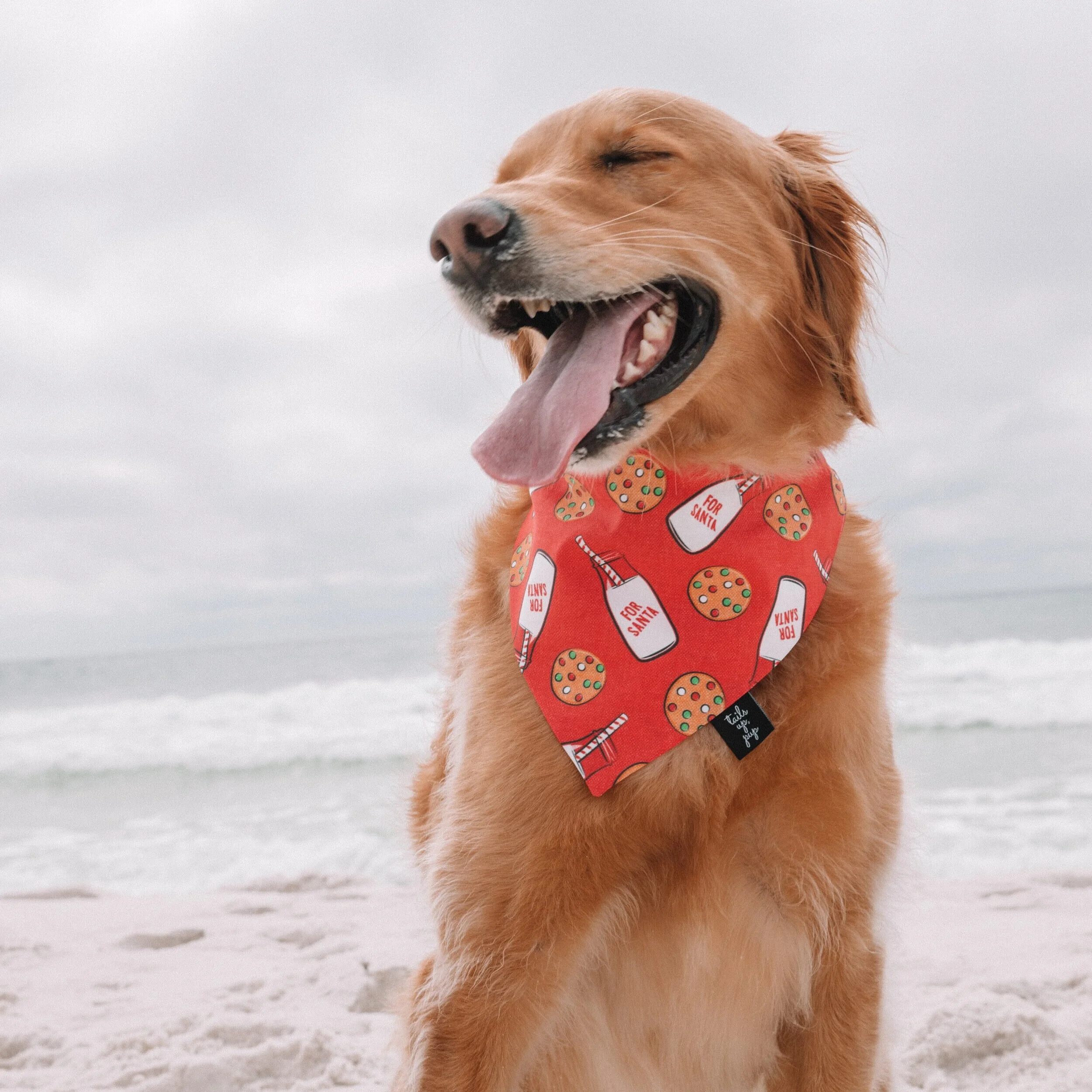 dog bandanas for sale