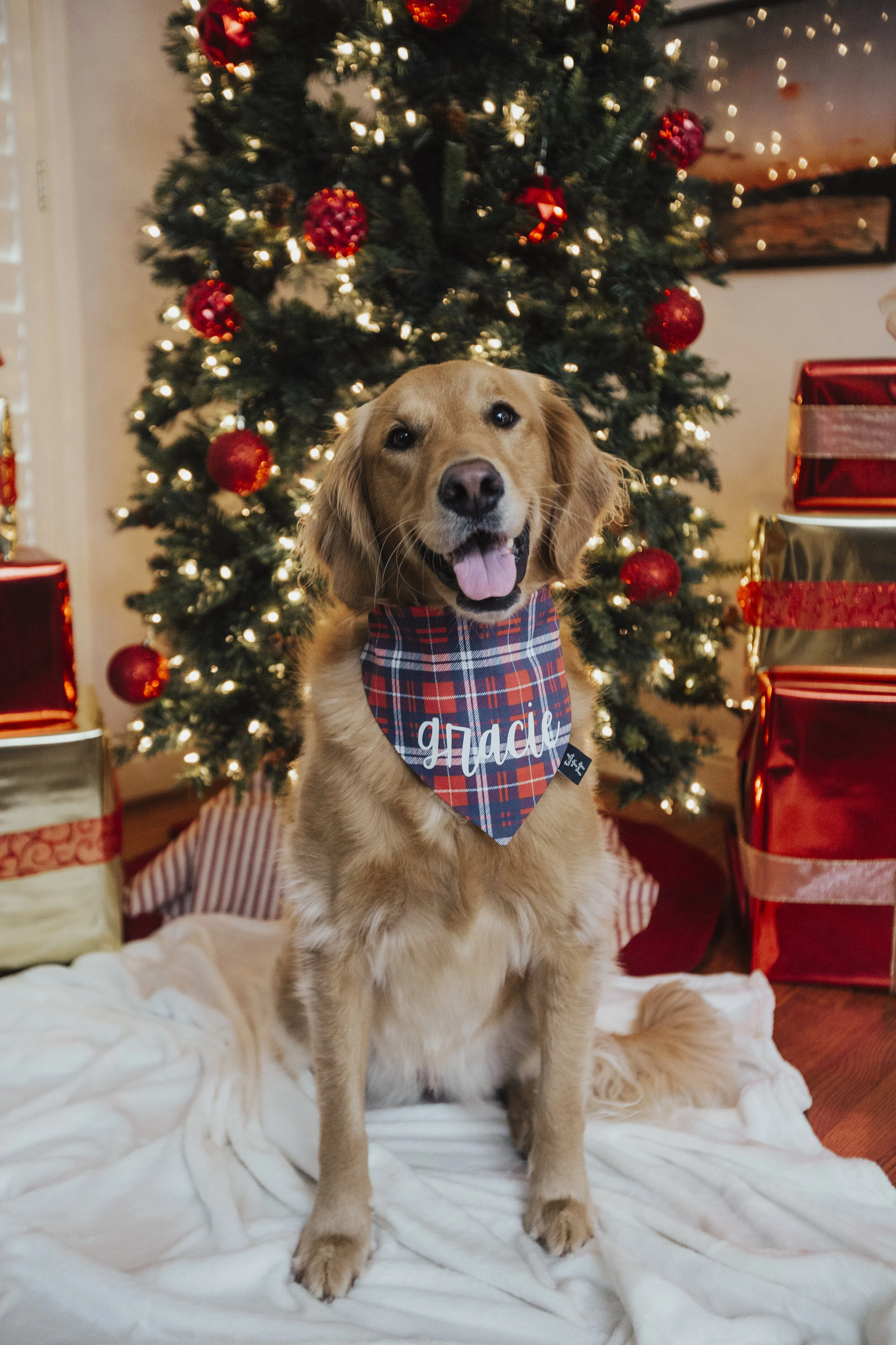christmas handkerchiefs for dogs