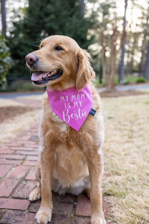 Personalized Dog Bandanas with Collar mothers day gift Dog Mom Bandana gift Dog Mom Gift Dog Collar with Bandana
