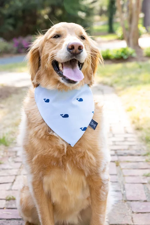 Over The Collar Dog Bandana Threads Unleashed Tie Up Dog Bandana Grey-Blue Geometric Dog Bandana Dog Accessories Cute Dog Bandana