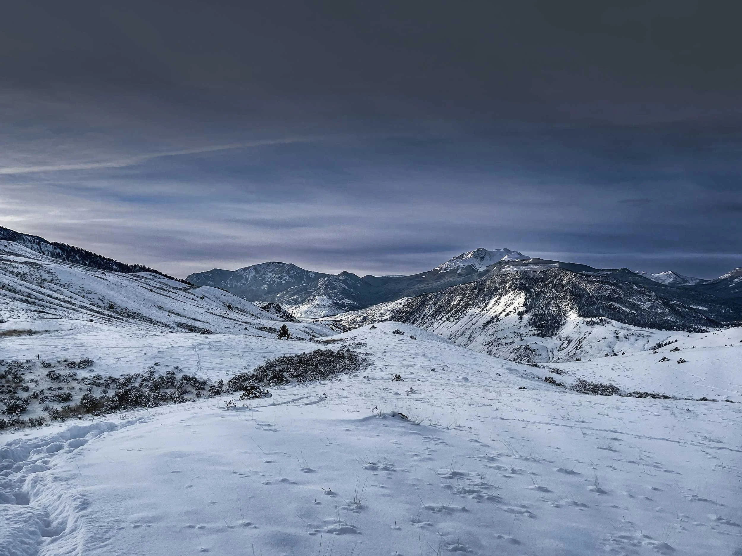 Snowy-Backcountry-web.jpg