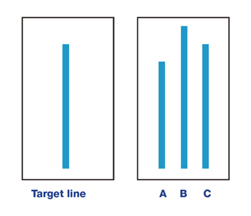 line graph.png