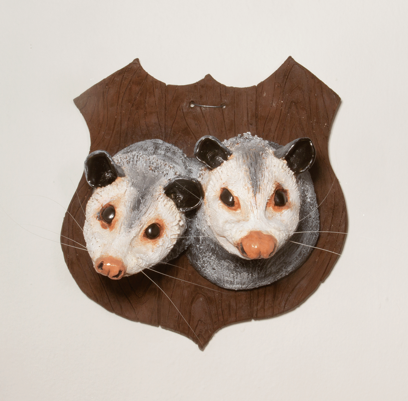 Kathleen Carpenter - They_Them (possums).png