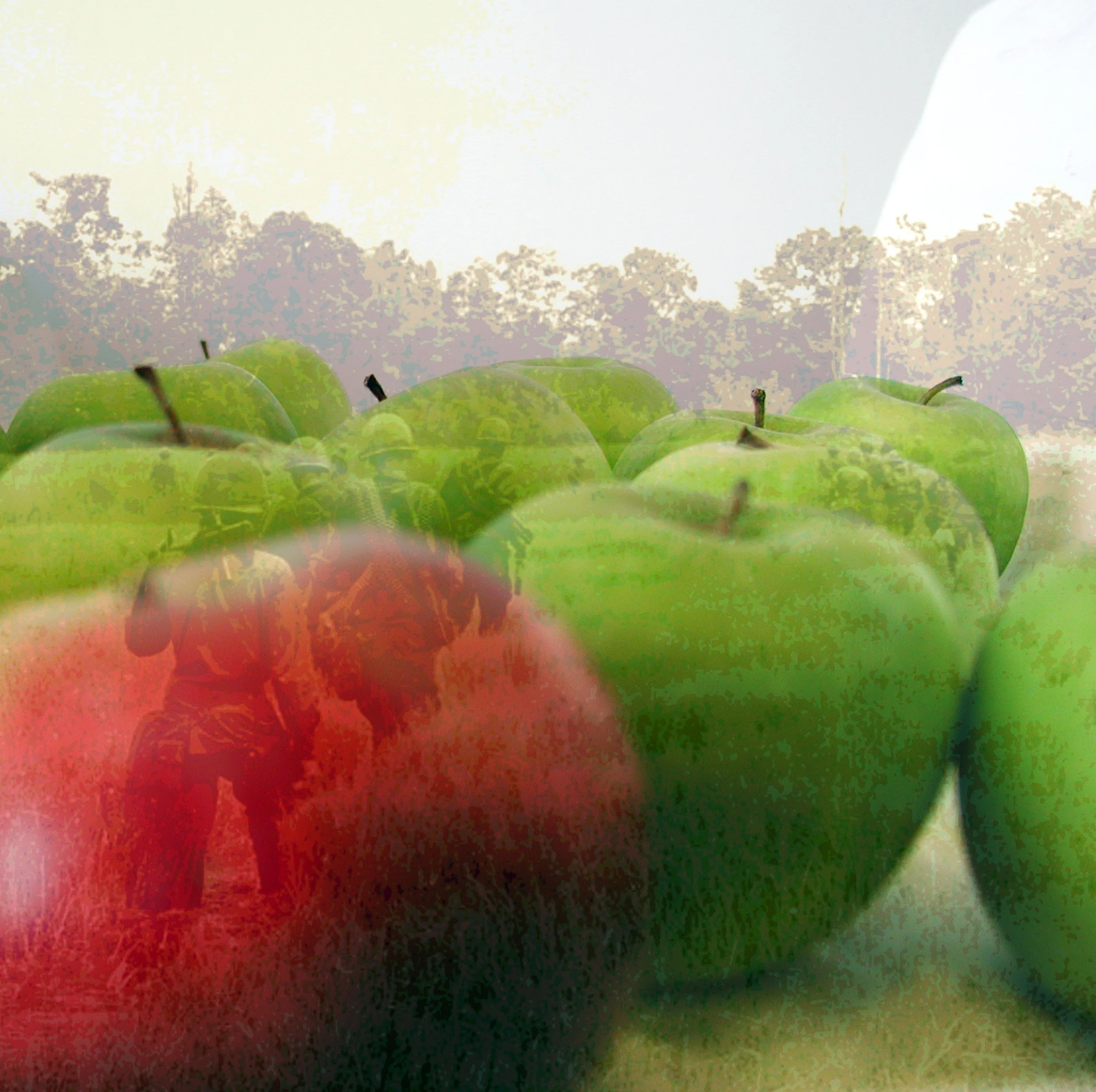 Du Chau The War Still Follows Me.jpg