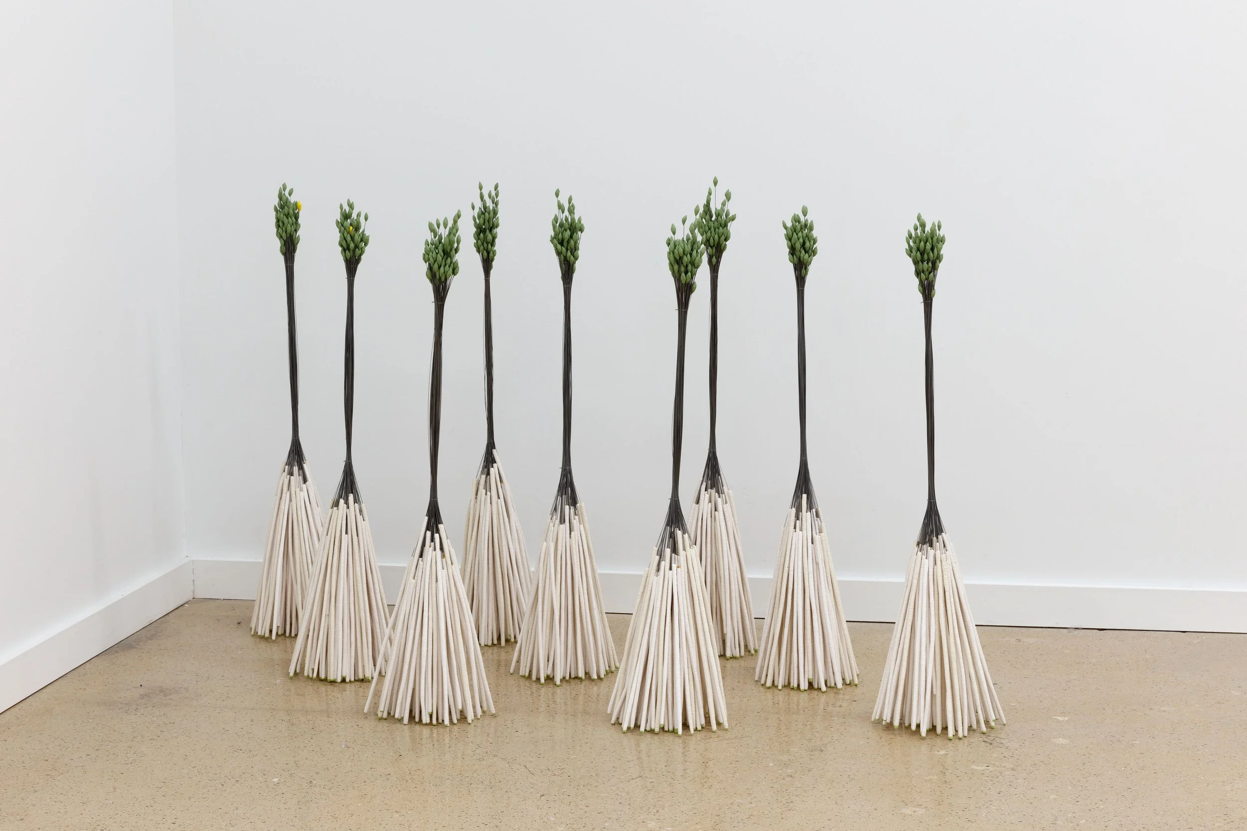 Du Chau Seeds of Memory.jpg