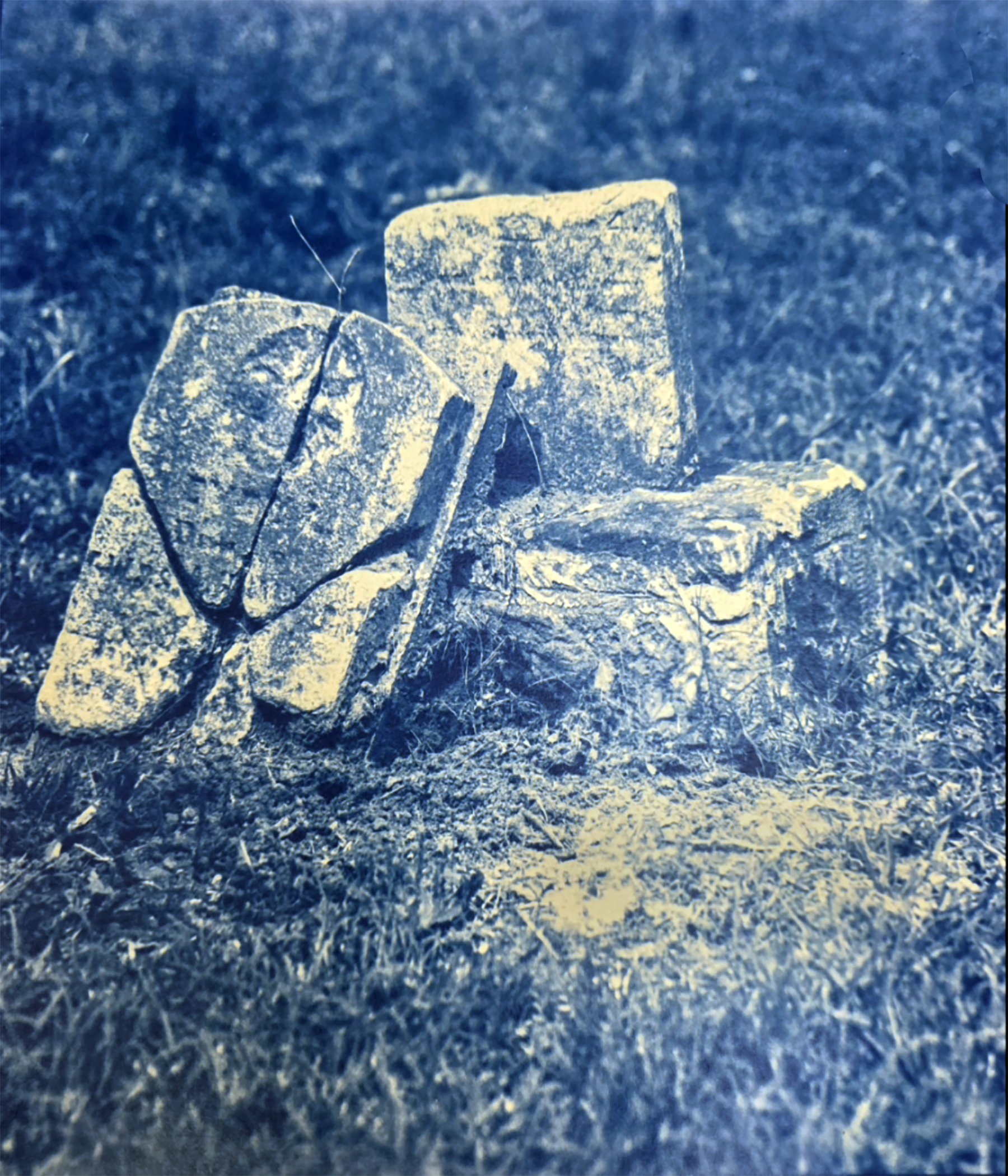 cyano01.jpg