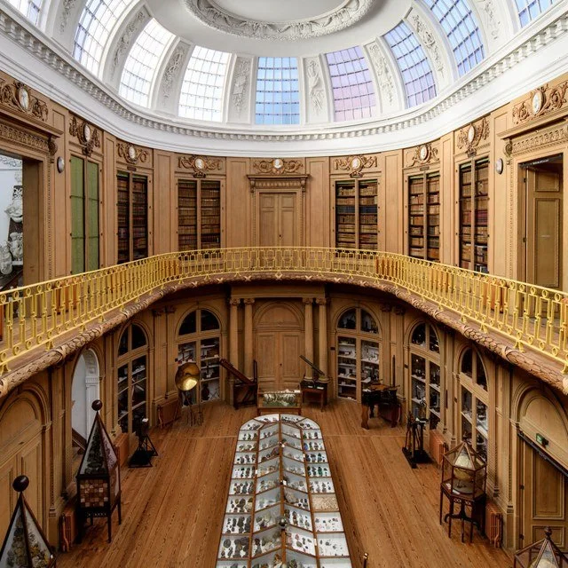 The Art of Collecting: Teylers Museum