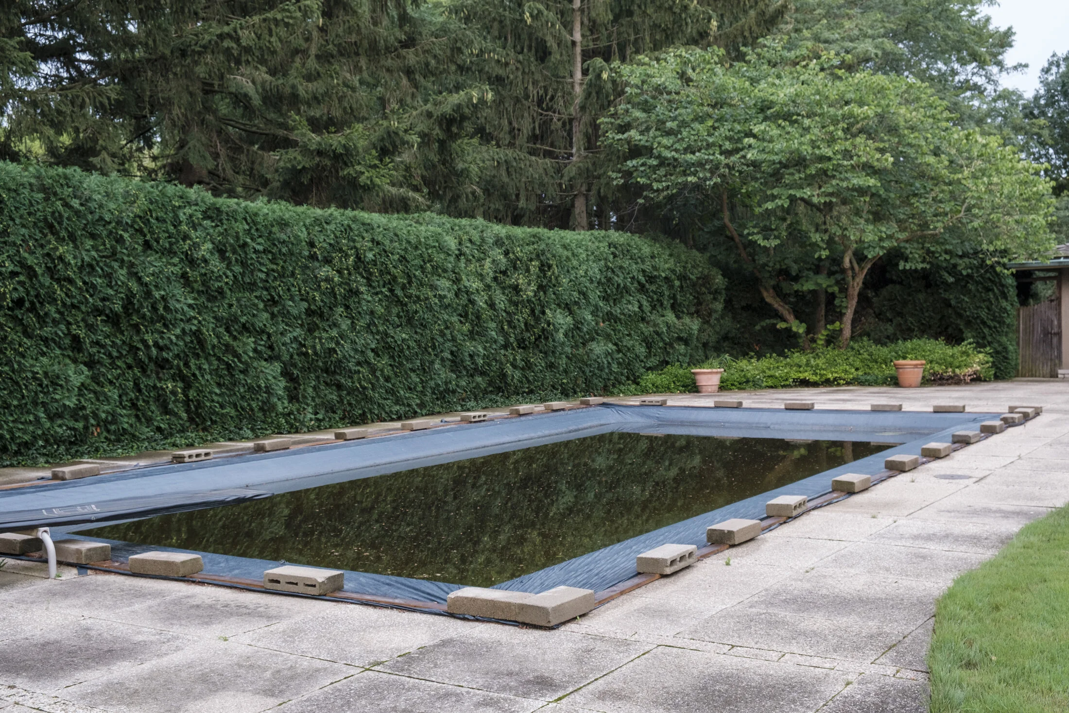 19 Rectangular Pool.JPG