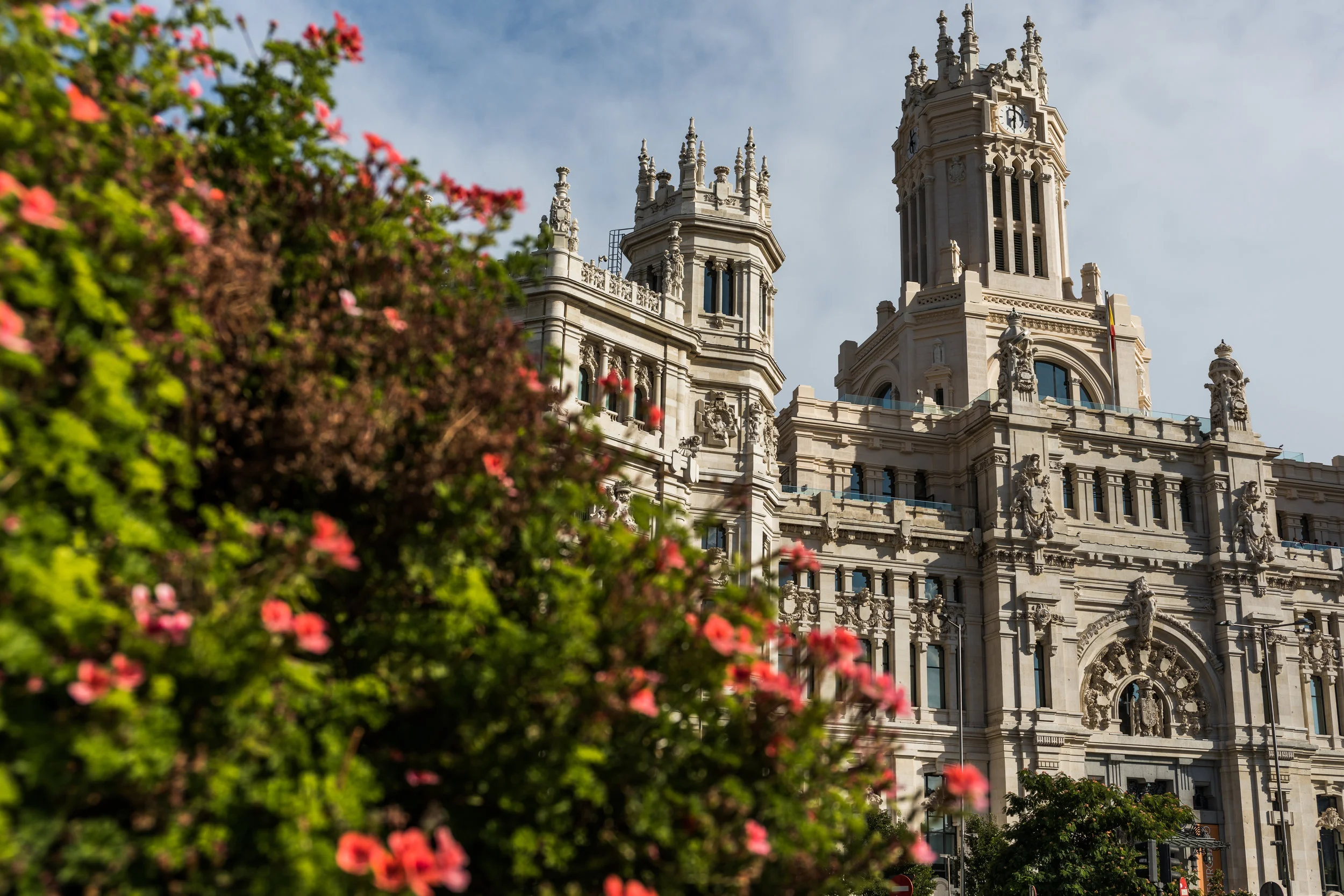 Spain (14 of 14).jpg