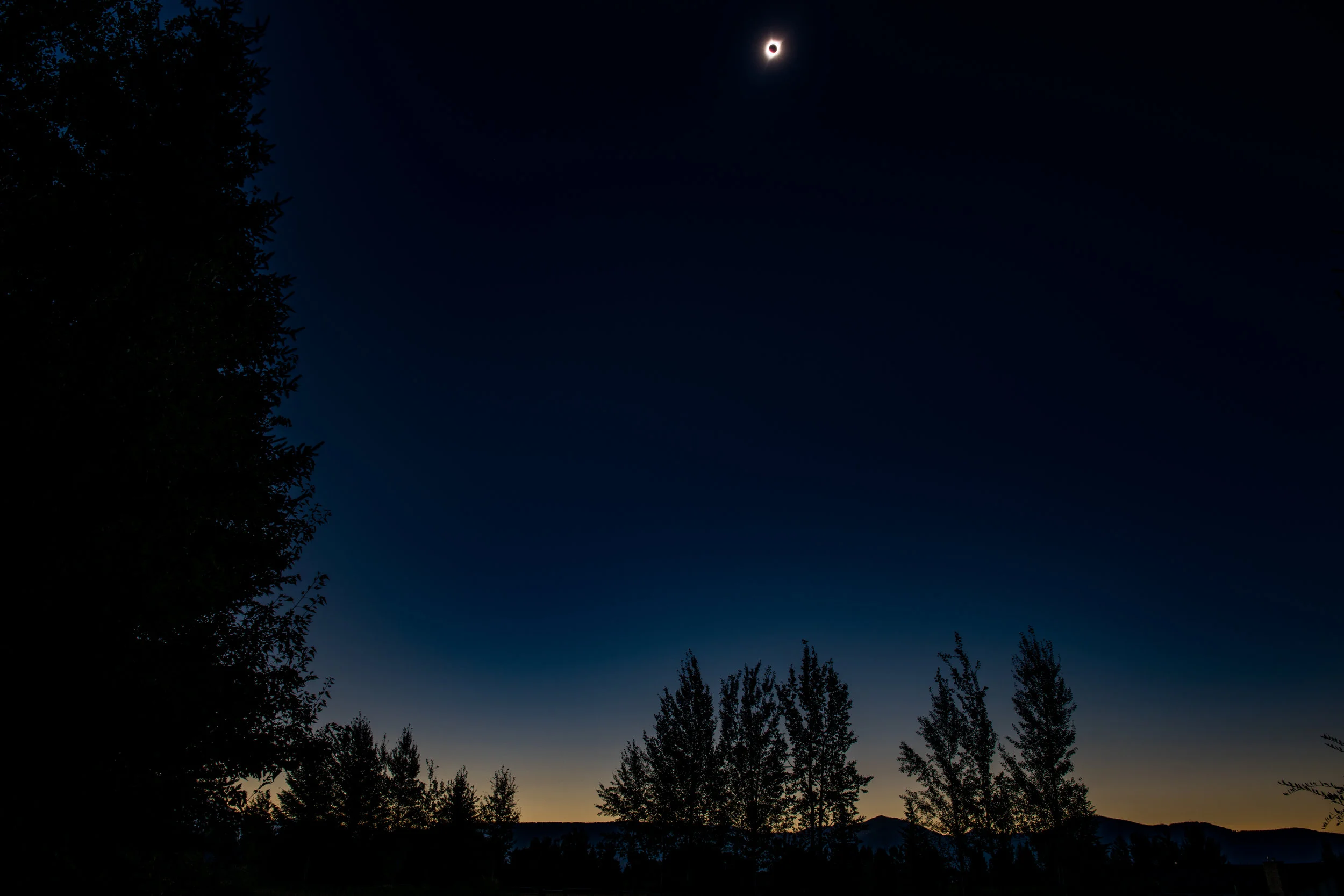 North America (2 of 4).jpg