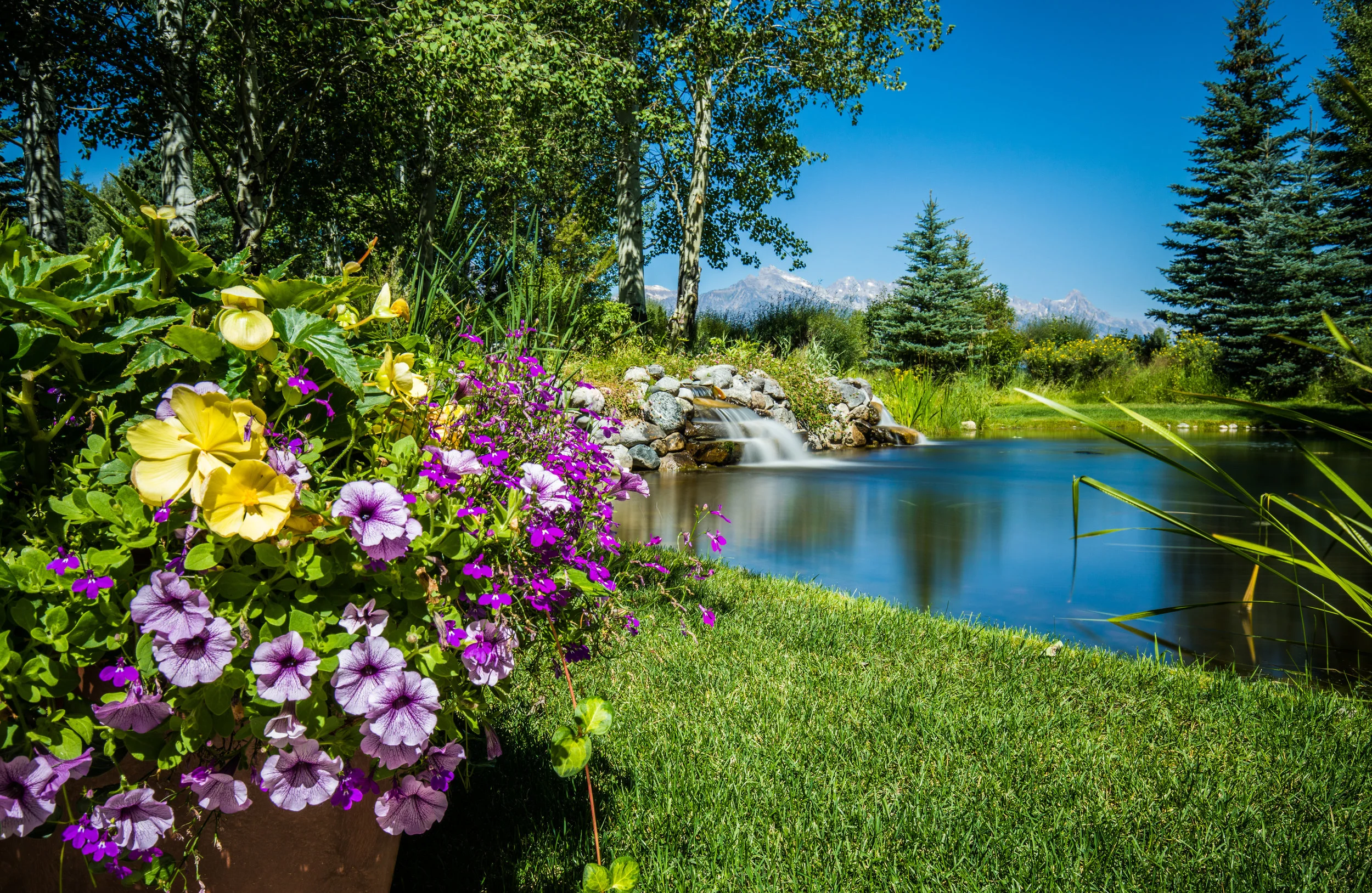 North America (3 of 4).jpg