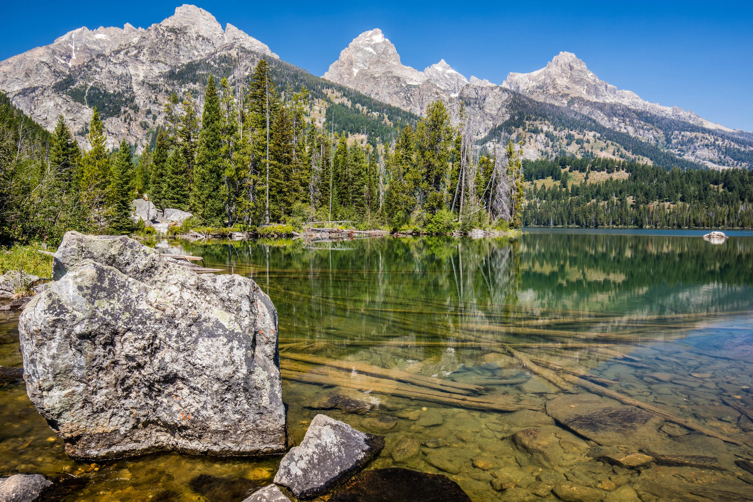 North America (5 of 4).jpg