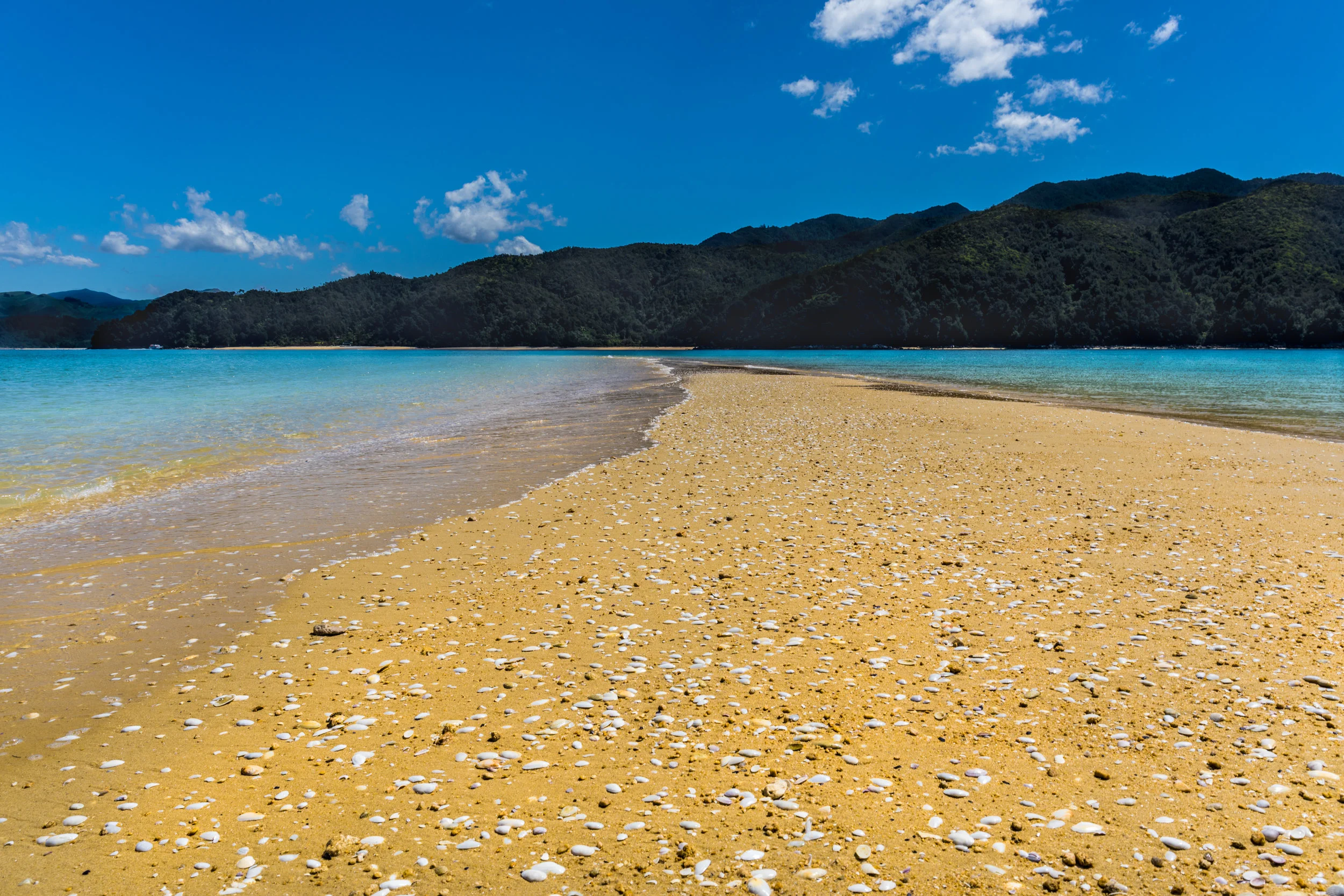 Australia (7 of 7).jpg