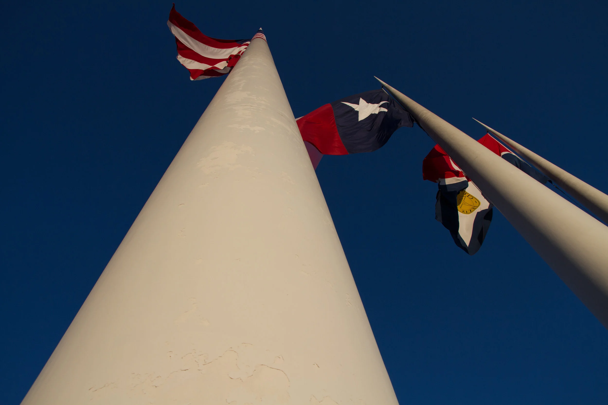 Dallas (5 of 10).jpg