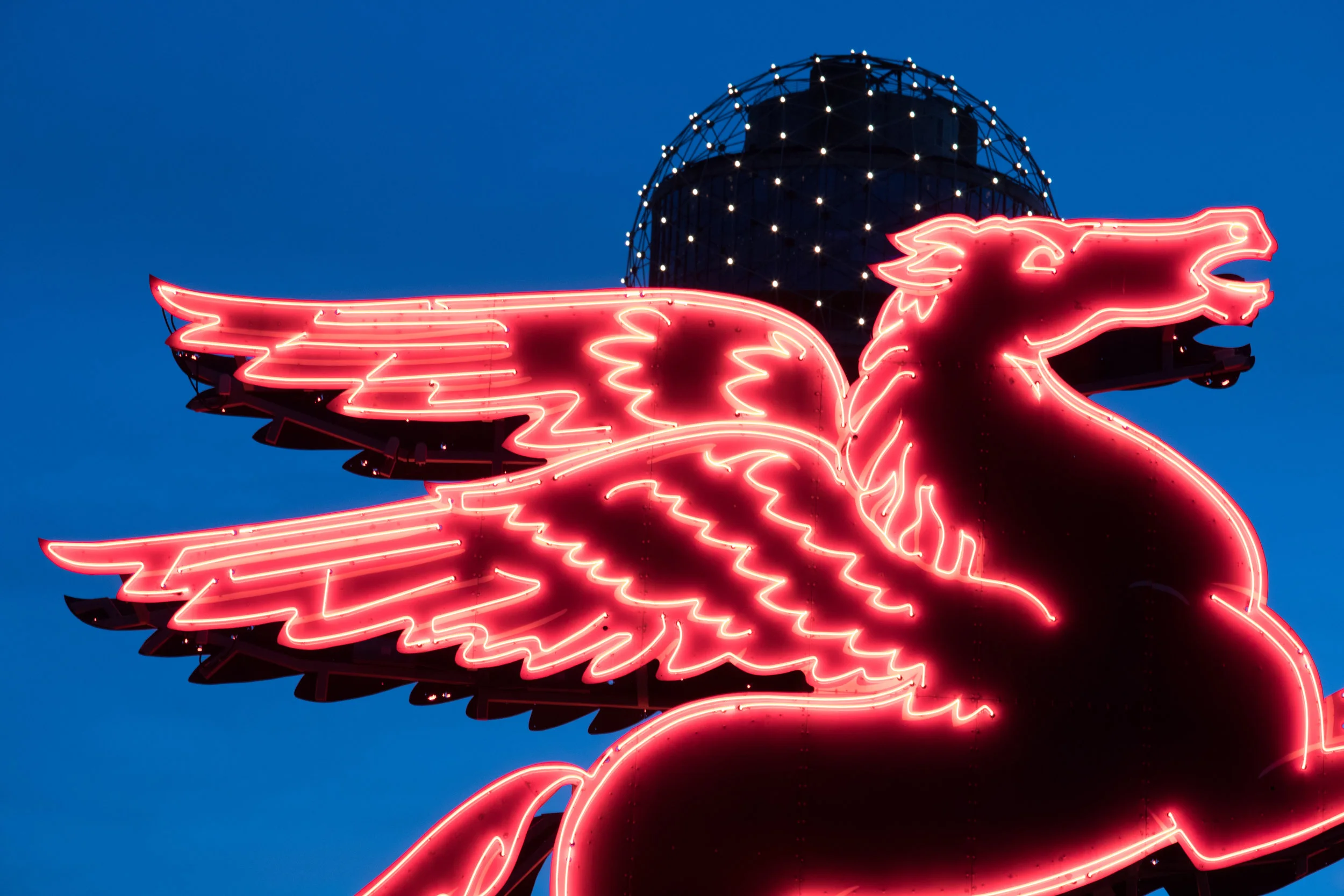 Dallas (7 of 10).jpg