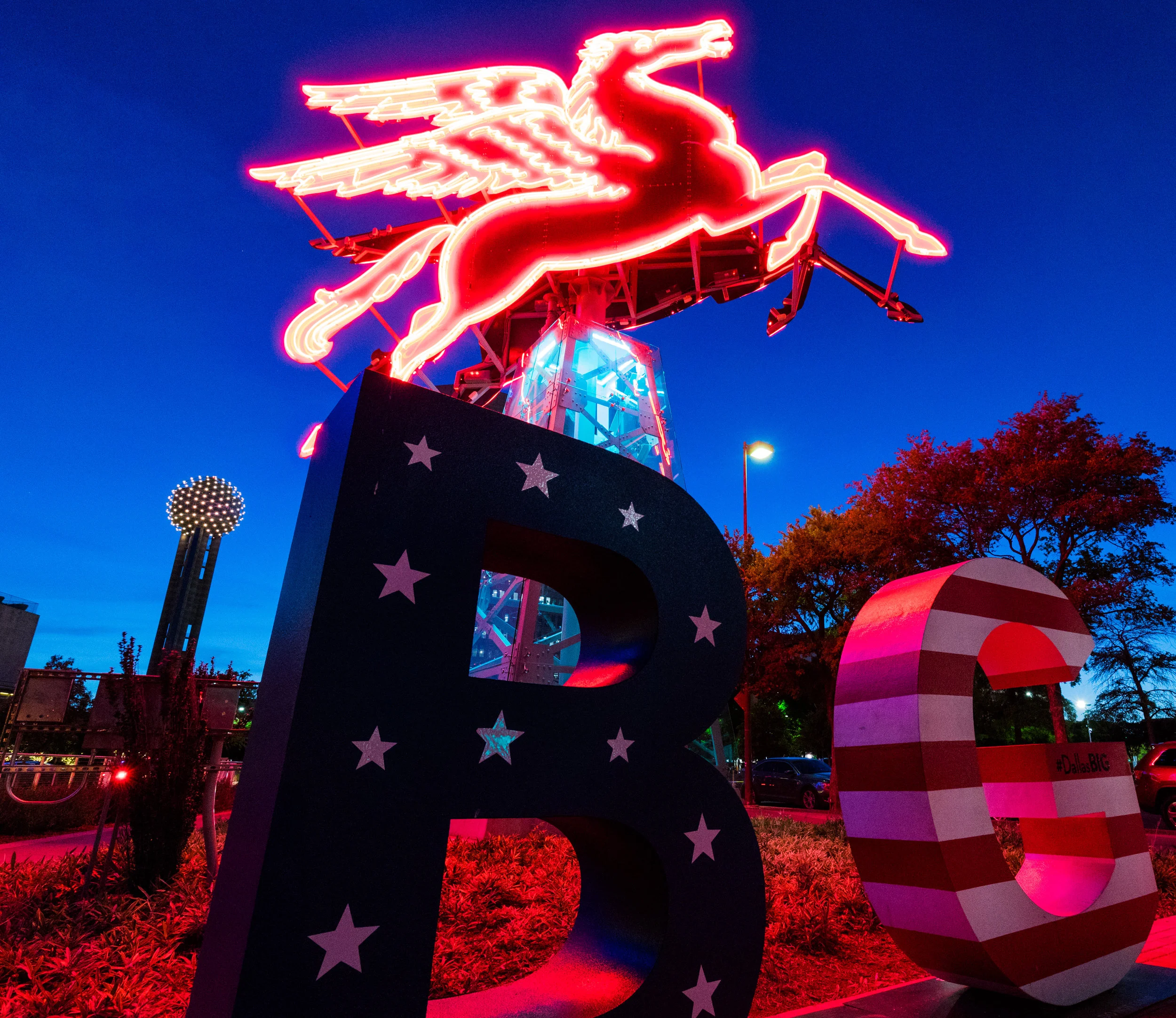 Dallas (8 of 10).jpg