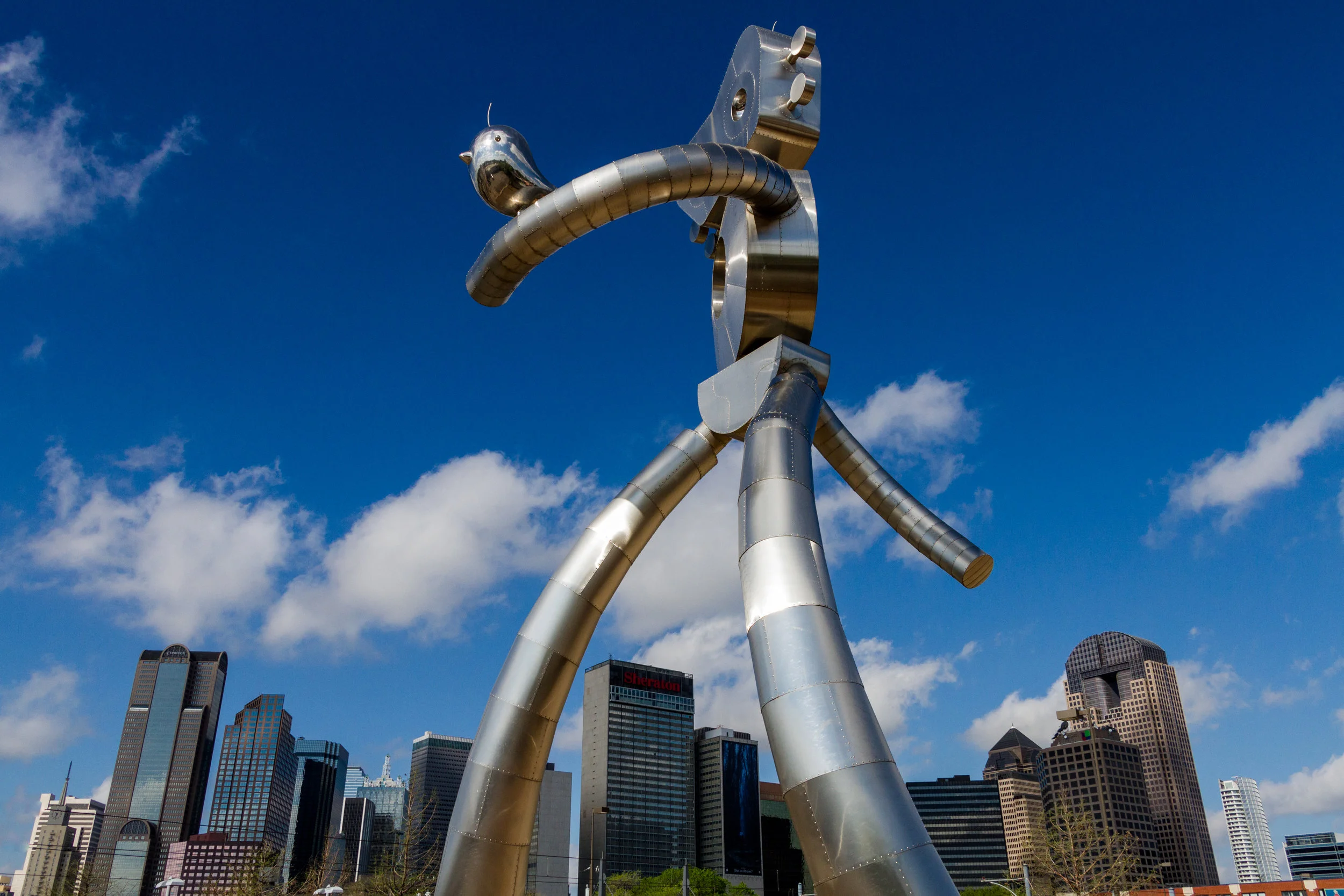 Dallas (10 of 1).jpg