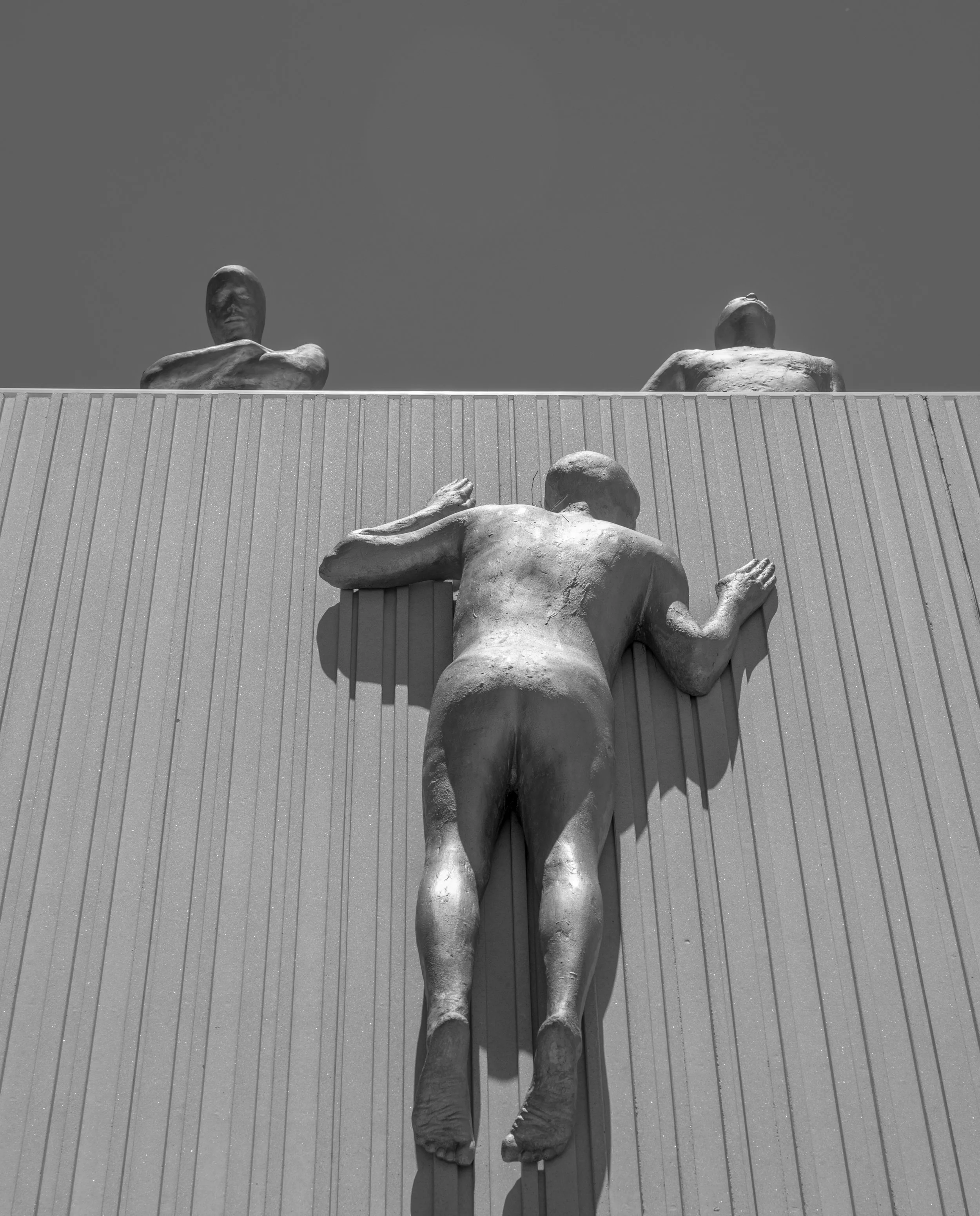 Dallas (10 of 10).jpg