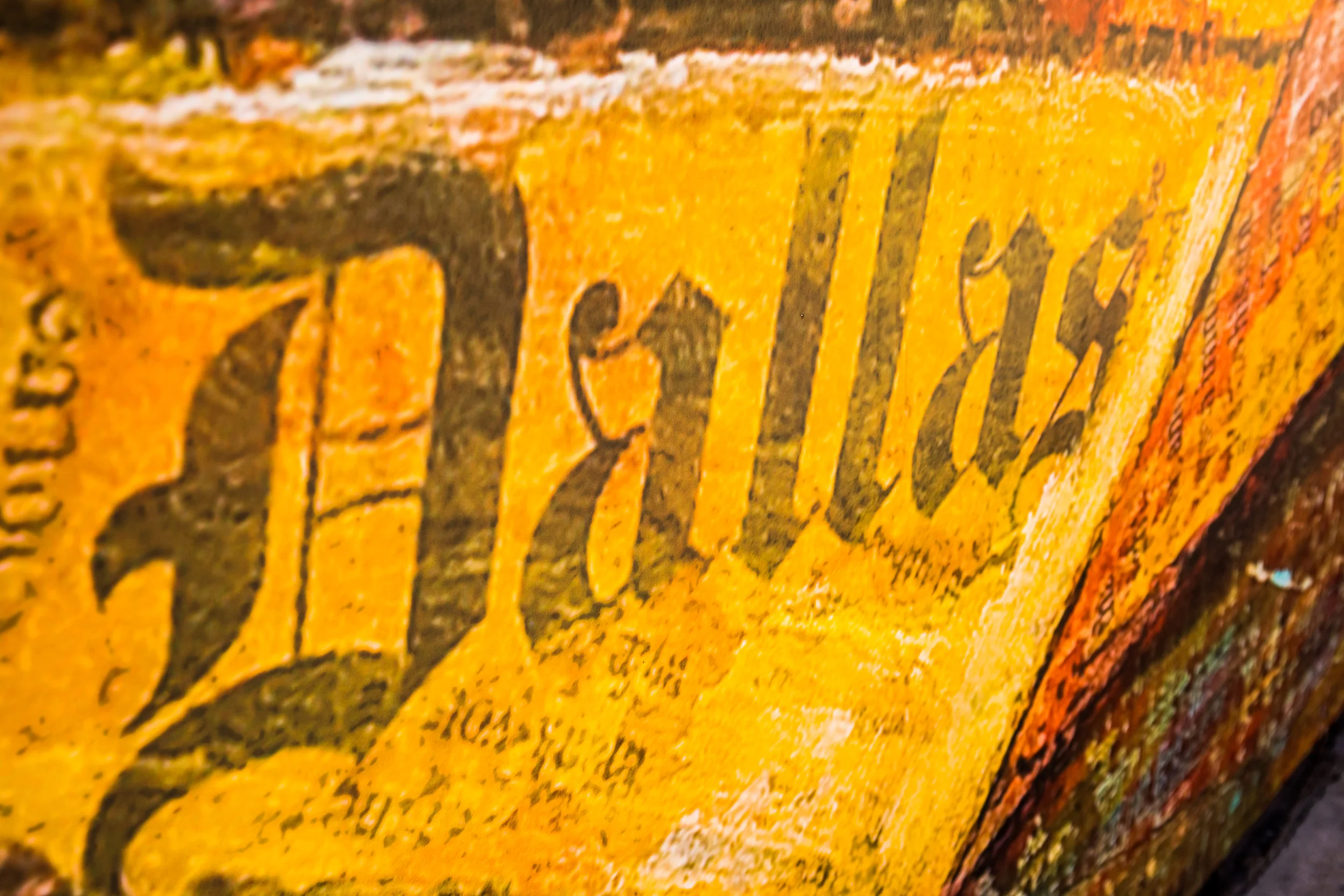 Dallas (11 of 10).jpg