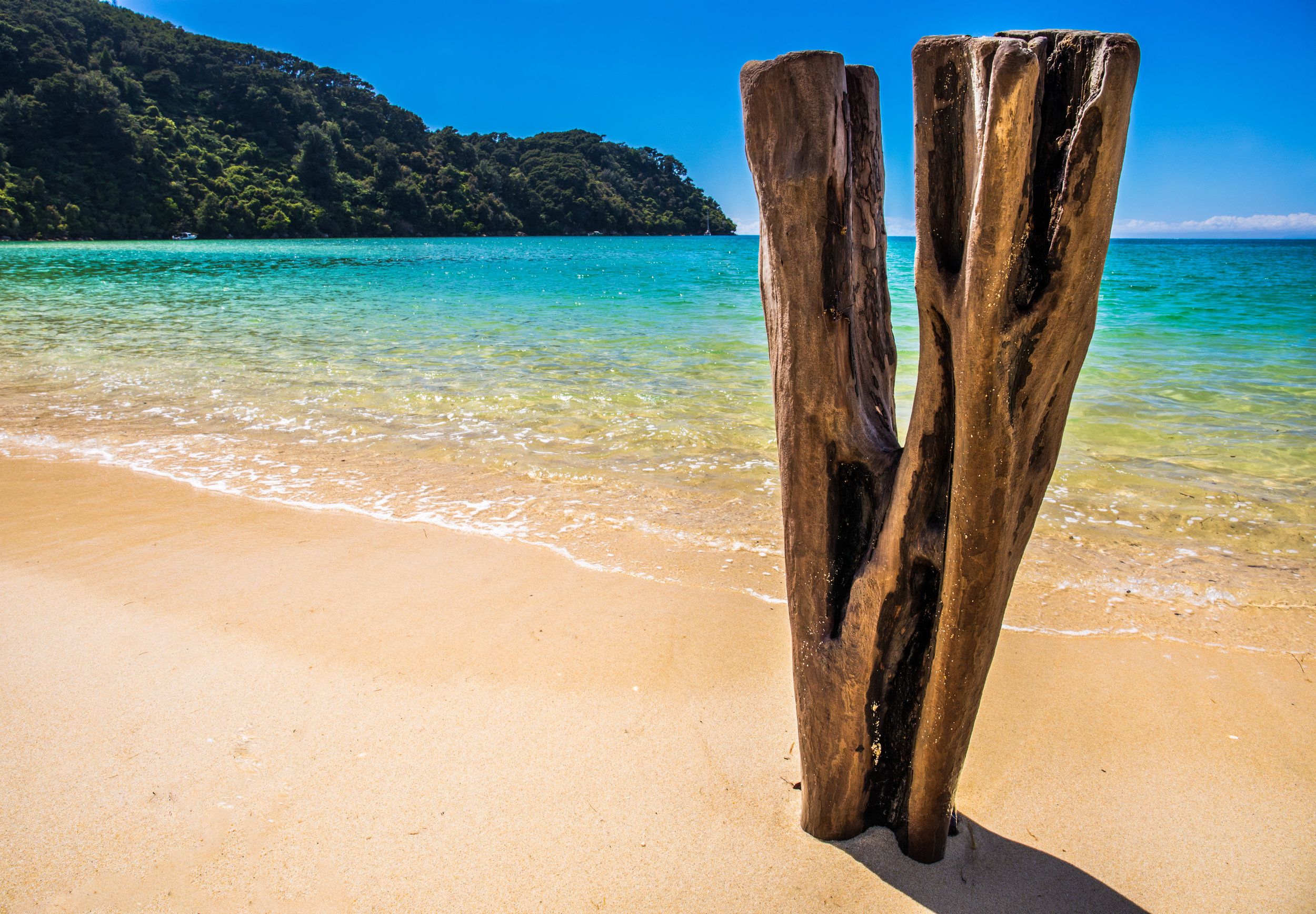 Australia (25 of 1).jpg