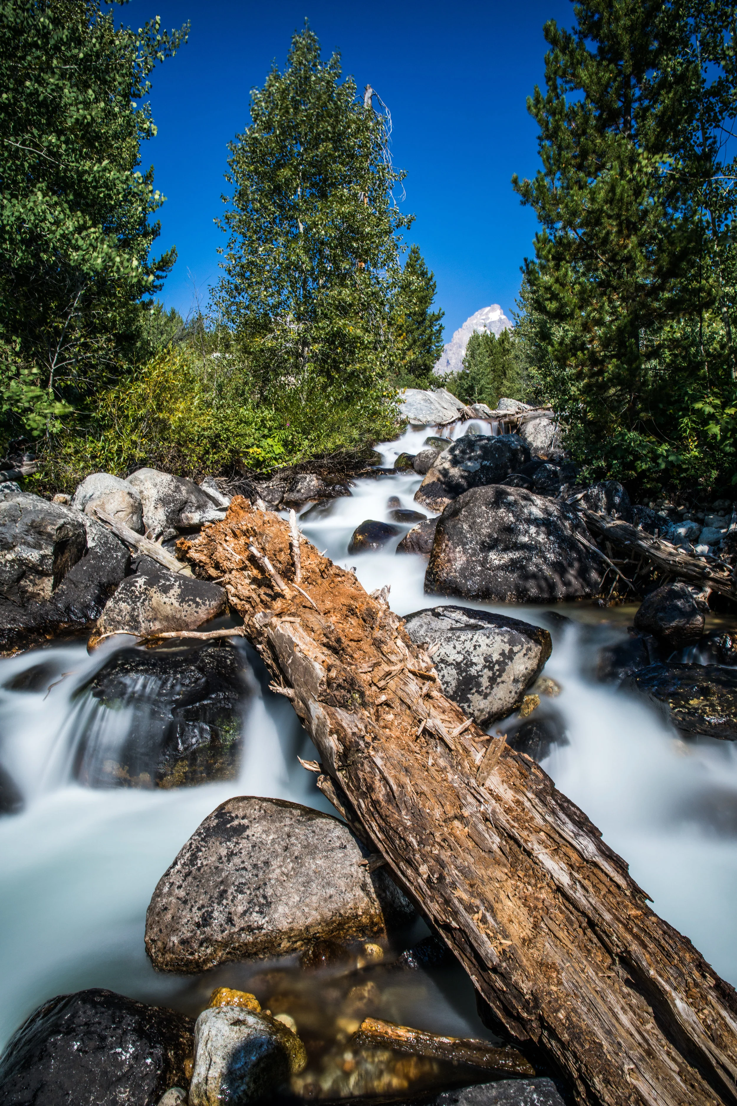 North America (4 of 4).jpg