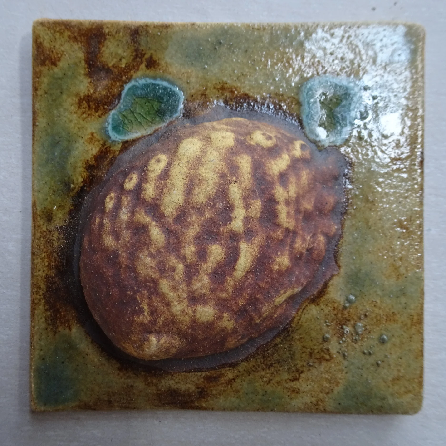 Abalone