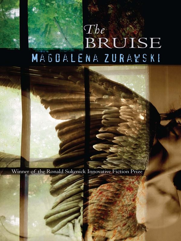 THE BRUISE Winner of Ronald Sukenick Prize for Innovative Fiction ISBN: 978-1-5736614-4-7 $16.95 • 2008 • 174 pages Fiction Collective 2 (FC2)