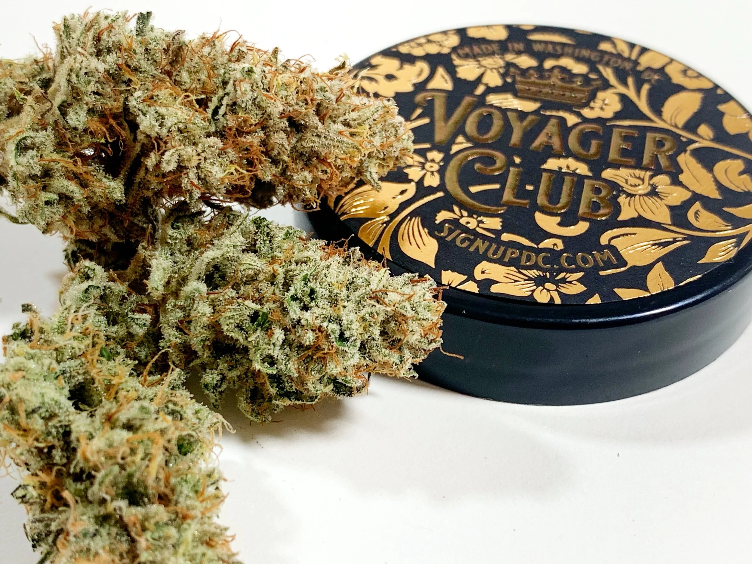 slurricane close.JPG