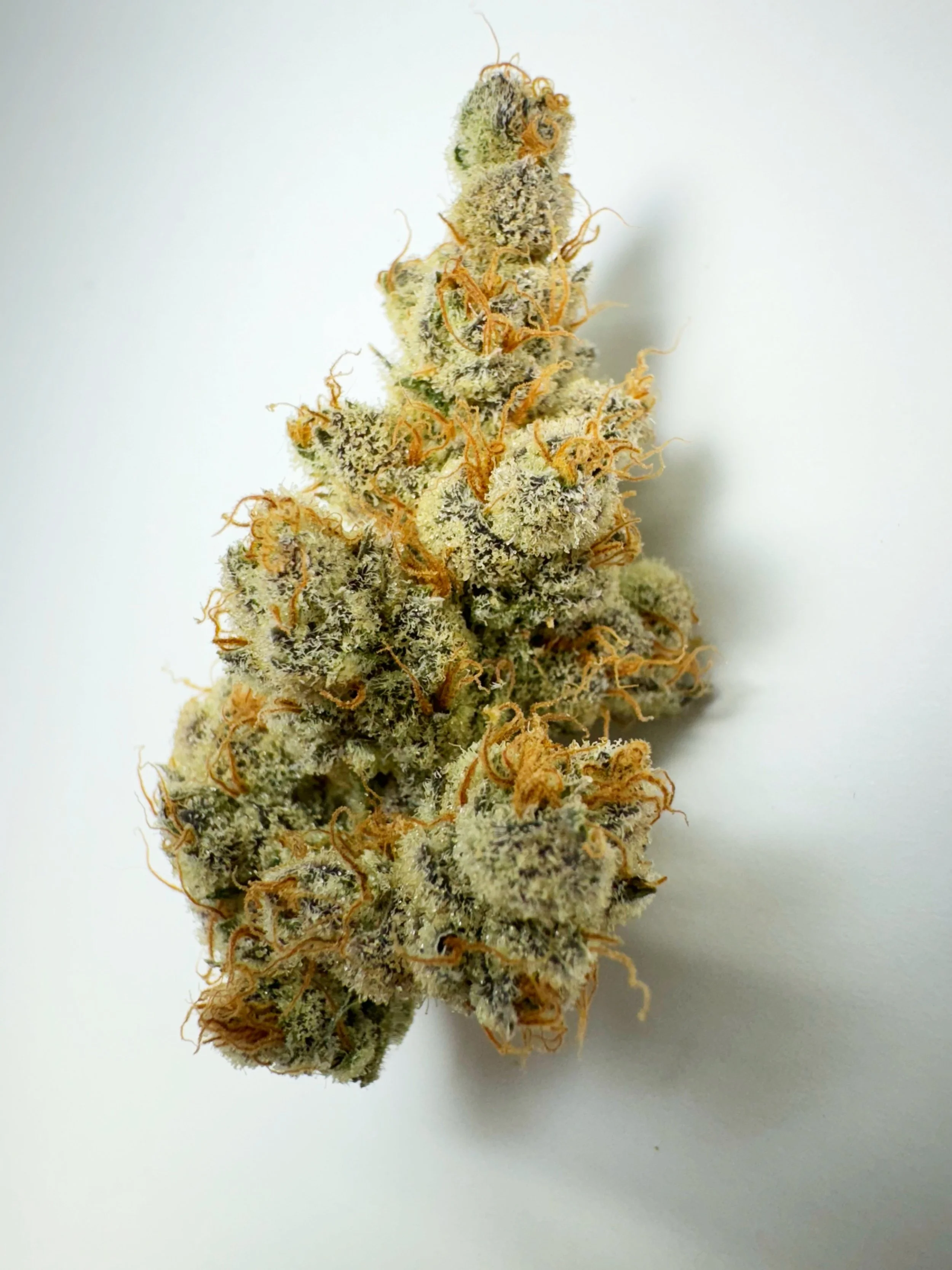 Final Call 12 10.28.JPG