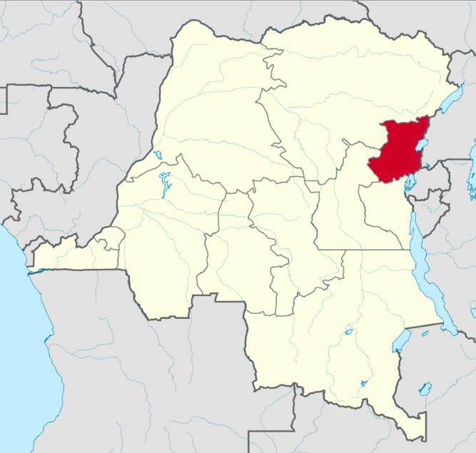 Instability in the North Kivu province of the Democratic Republic of the Congo has killed dozens of UN peacekeepers and displaced up to 1.7 million people. Wikipedia.