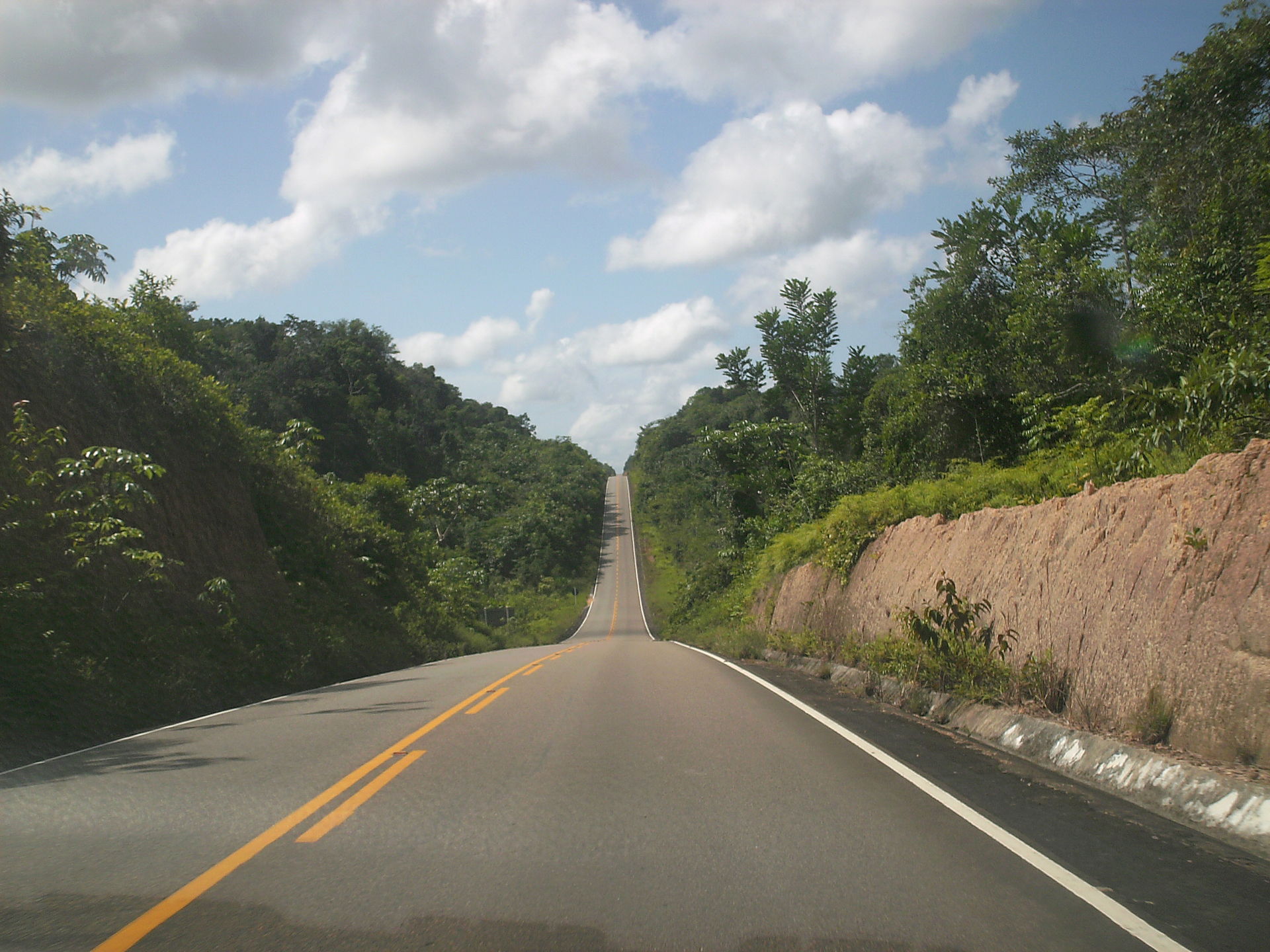 A road cuts through the Waimiri-Atroari Reserve in Roraima, Brazil. (Wikimedia Commons)