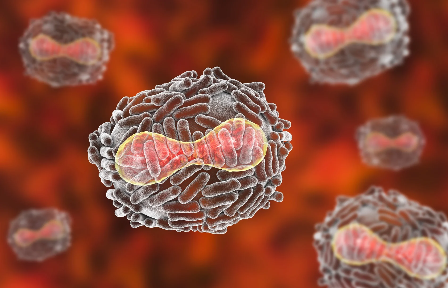 The biolaboratory where the explosion occurred houses one of only two remaining smallpox samples in the world. (Live Science)