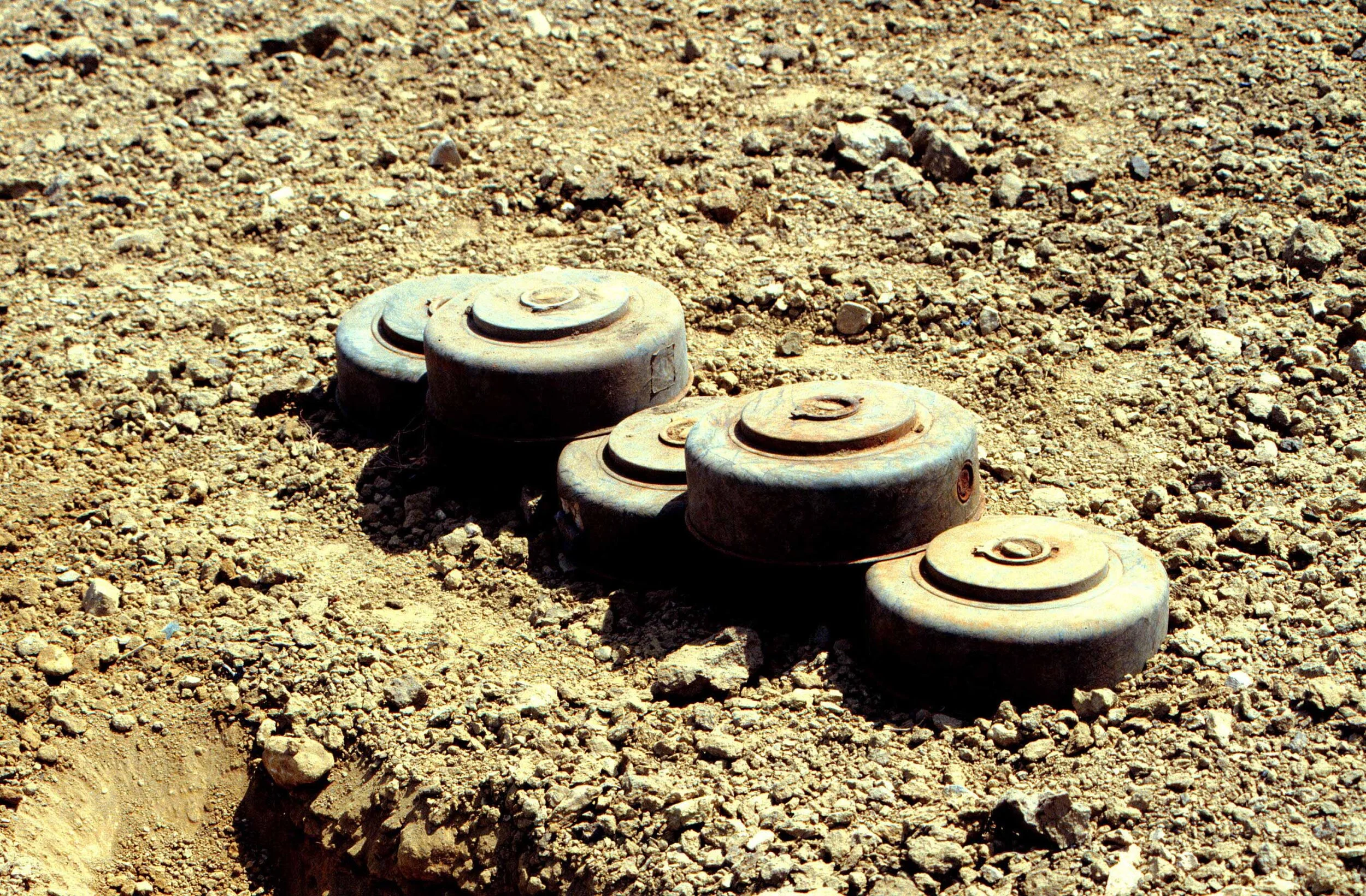 White House Reverses Obama-Era Restrictions on Landmines