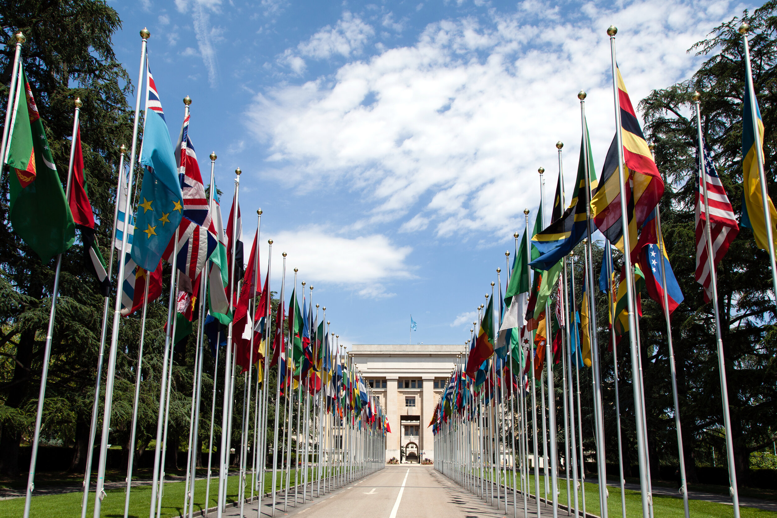 A driveway leading to a building, lined by flags.