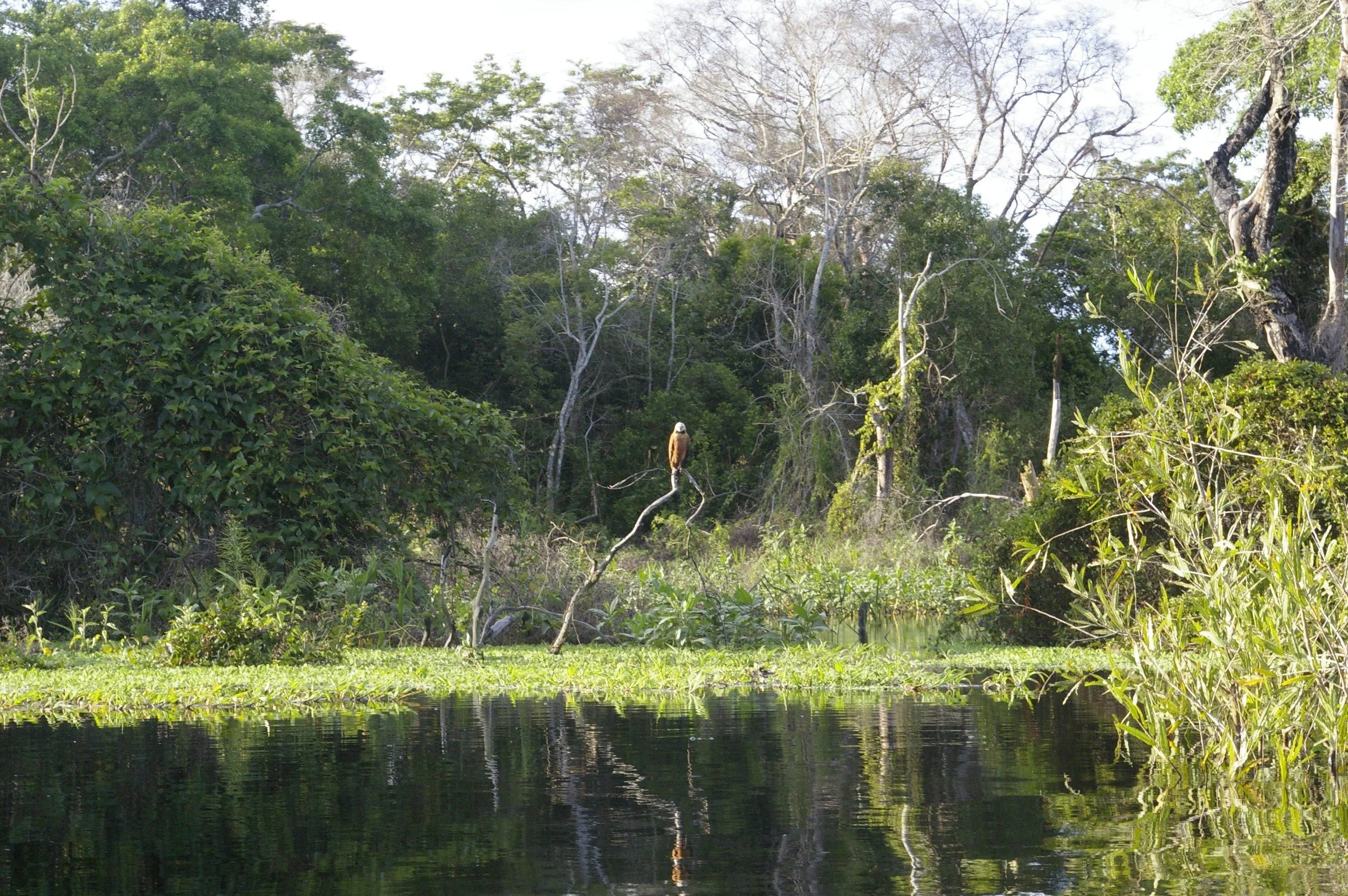 Fictitious Nation Blocked from Purchasing Land in Bolivia
