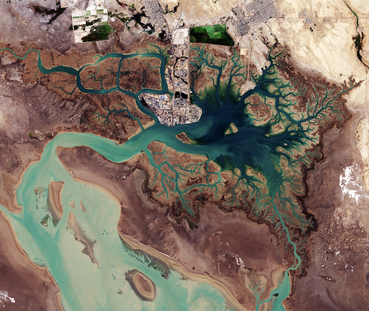 Iran’s Water Crisis Is the Regime’s Self-Inflicted Time Bomb