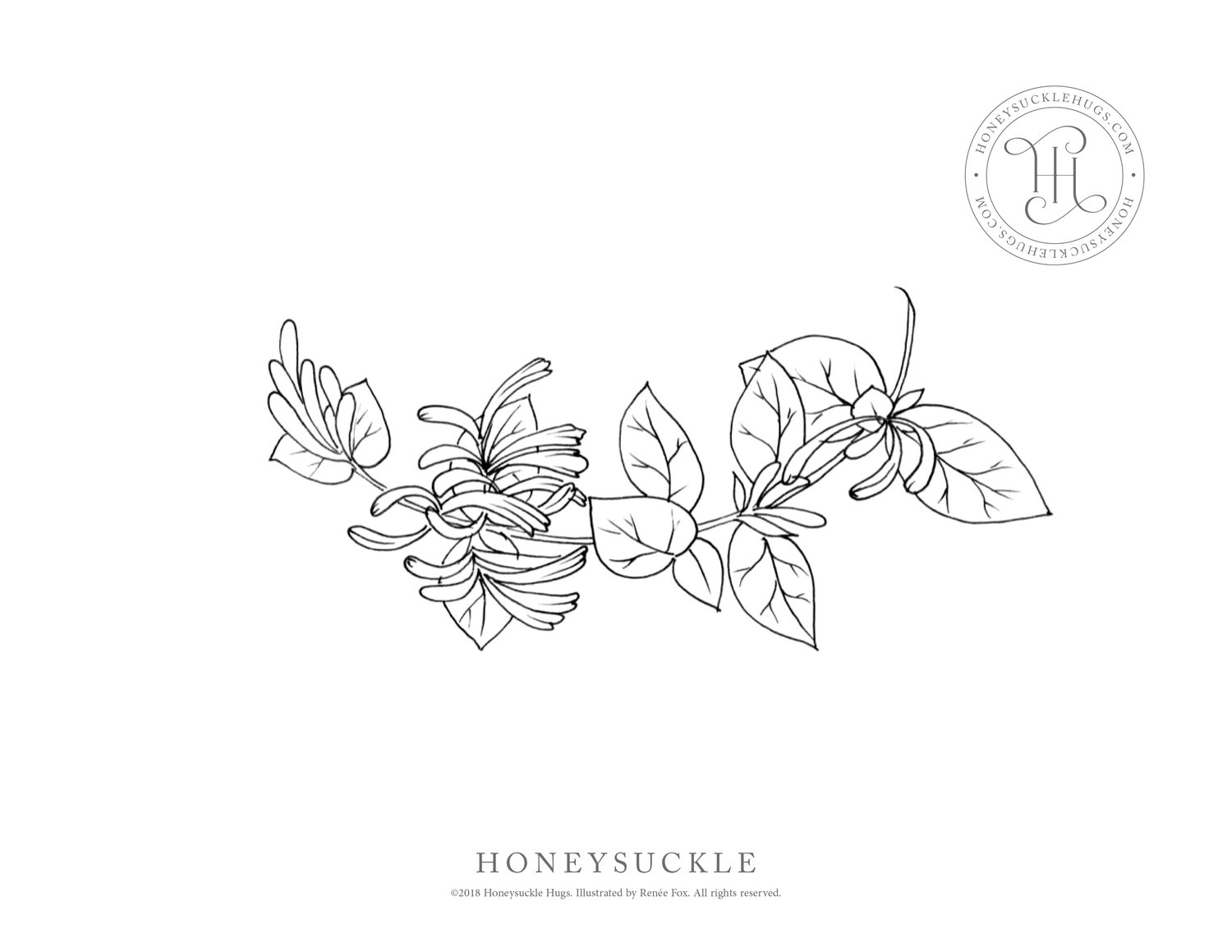 Free Coloring Pages Honeysuckle Hugs