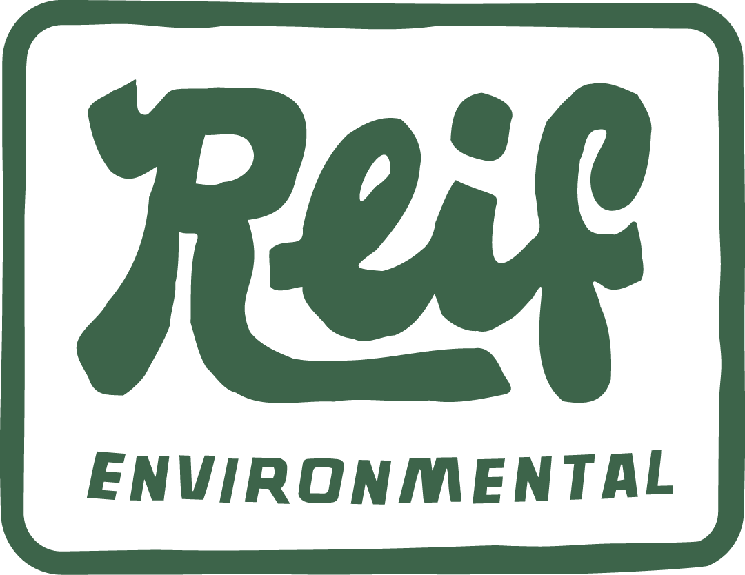 Recy environmental logo with stylized text and a thick border.