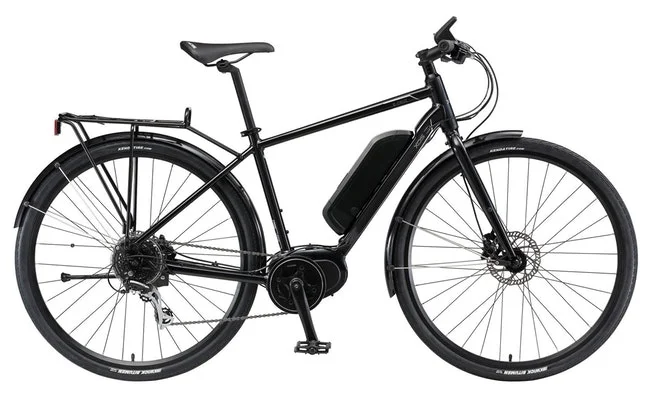 E-bike with a removable battery case
