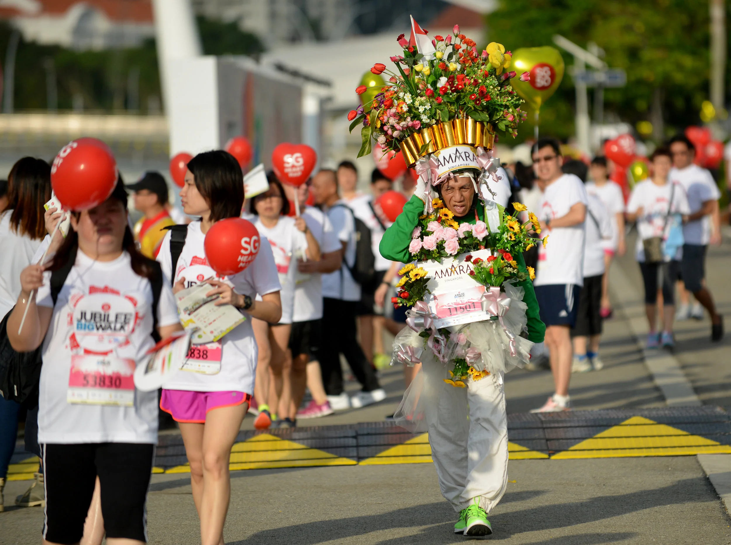 36832585 - 29_11_2015 - yrwalk30.jpg